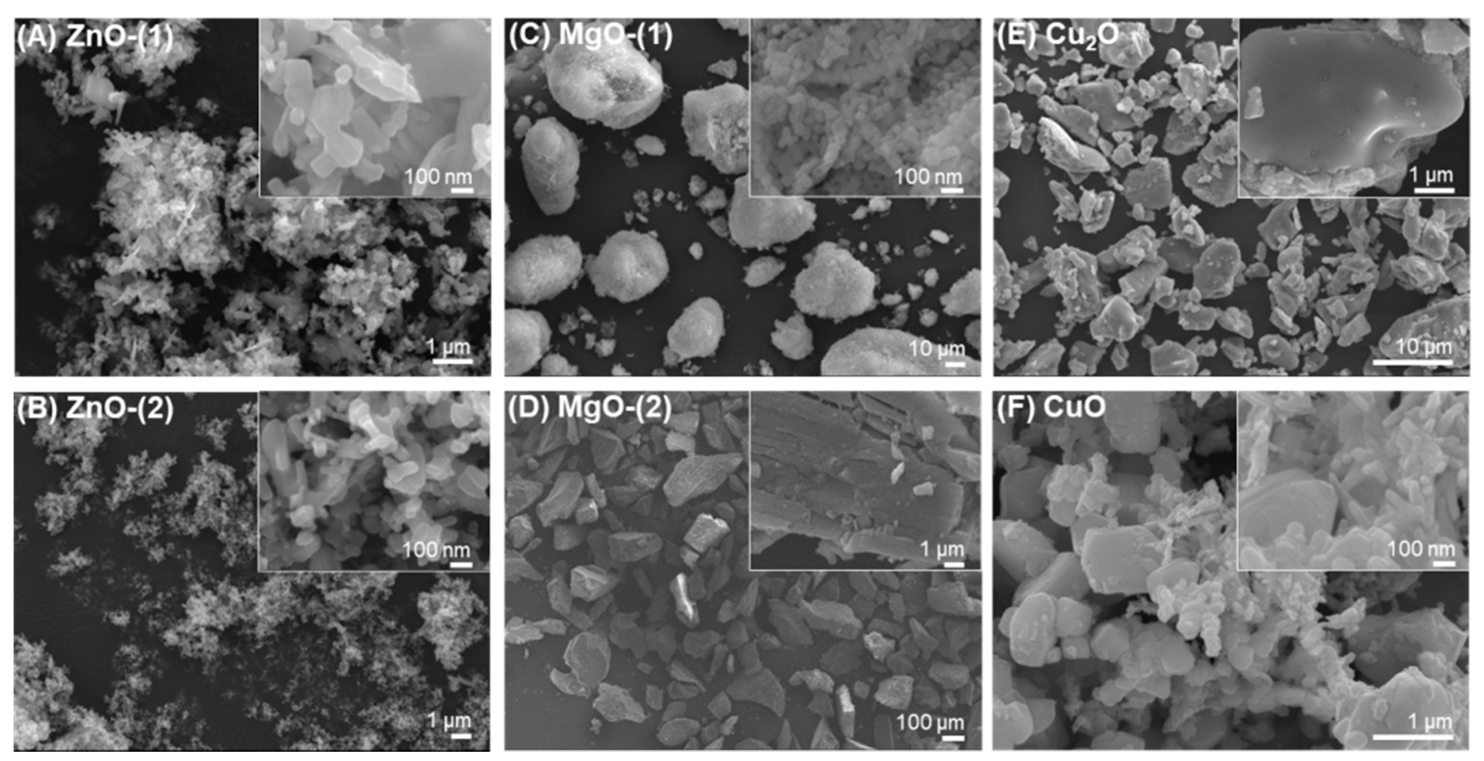Pharmaceutics 13 00222 g001 Pharmaceutics 13 00222 g001