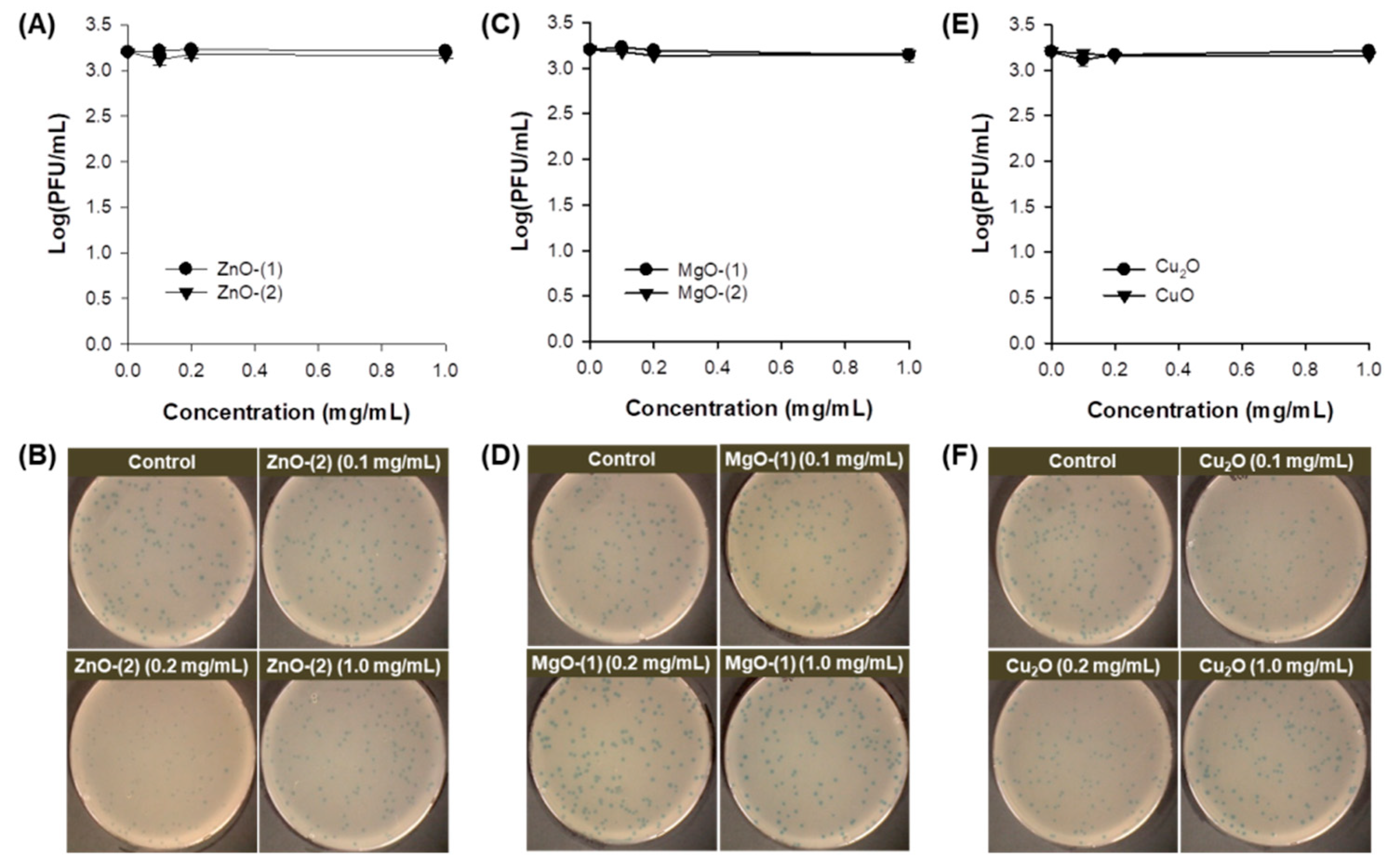 Pharmaceutics 13 00222 g004 Pharmaceutics 13 00222 g004