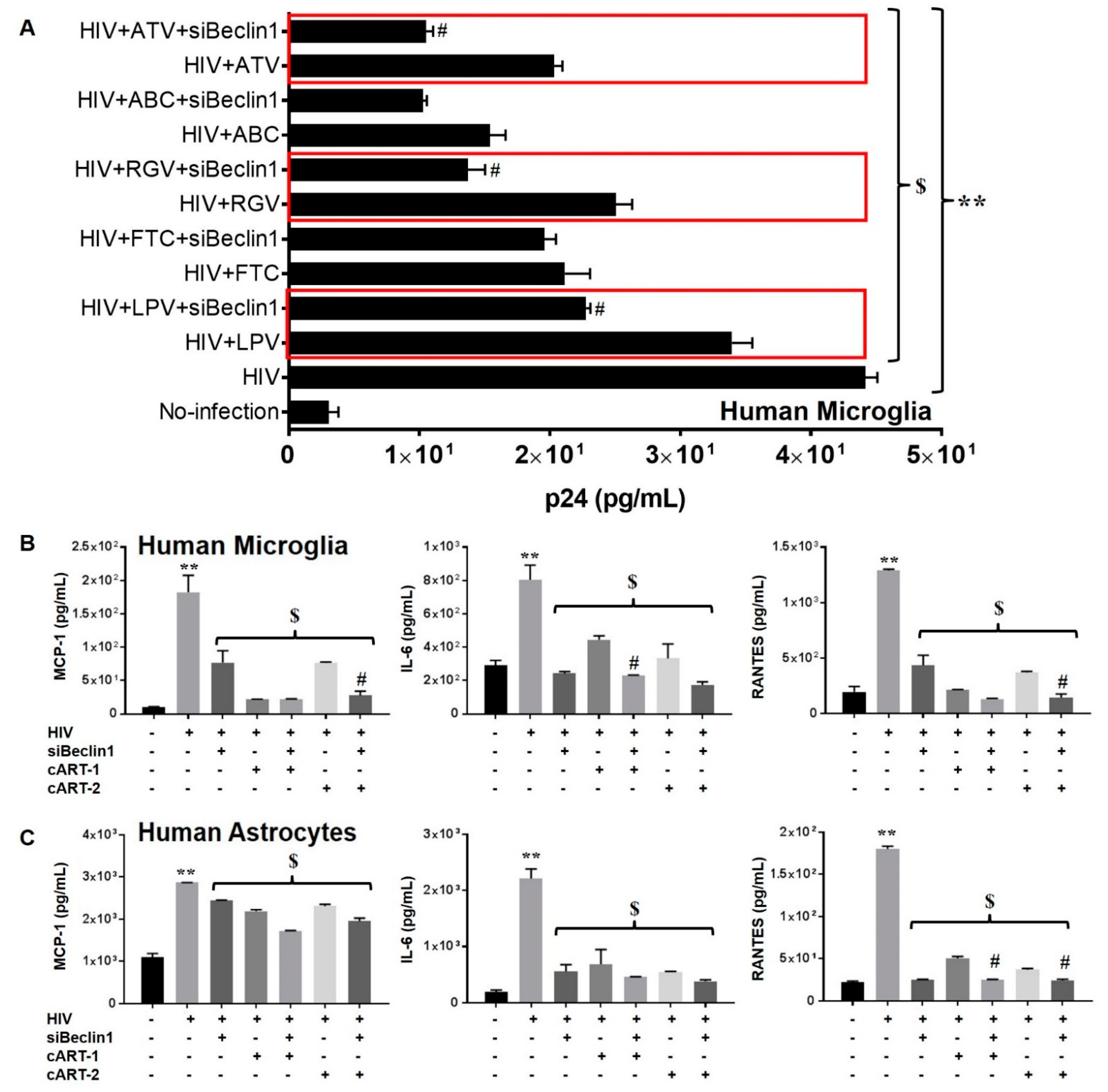 Pharmaceutics 13 00223 g001