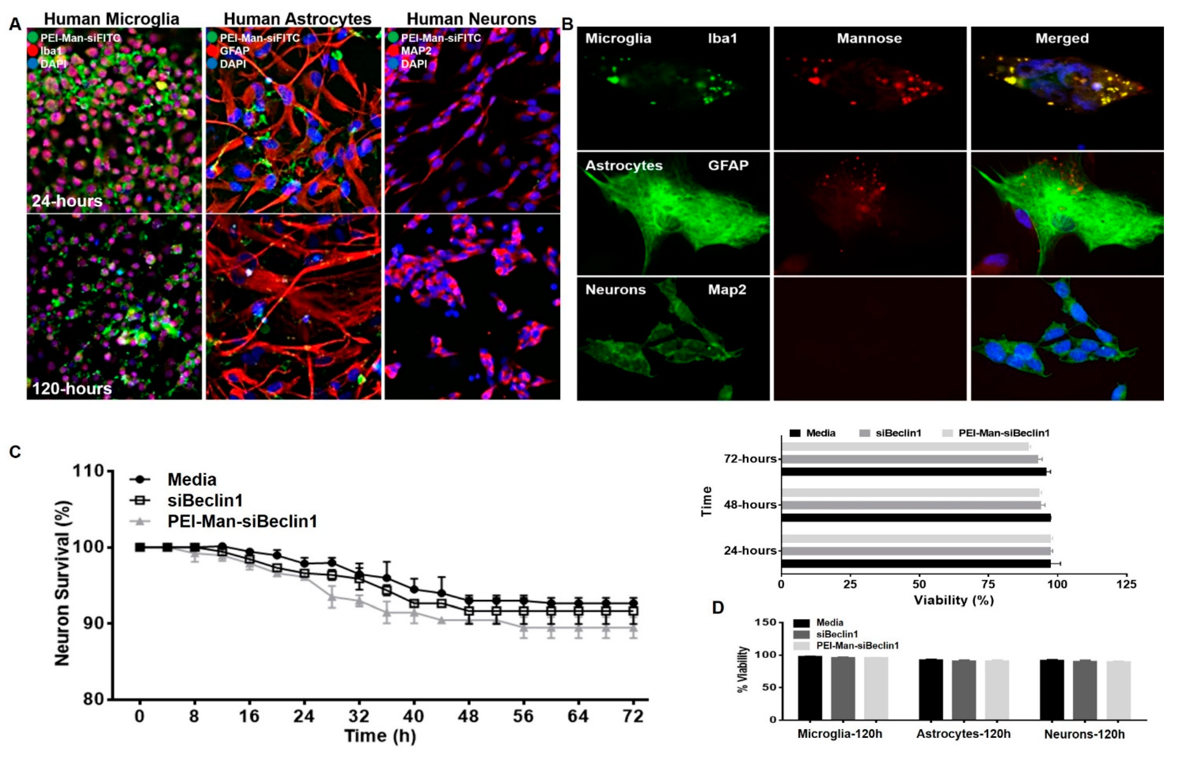 Pharmaceutics 13 00223 g002