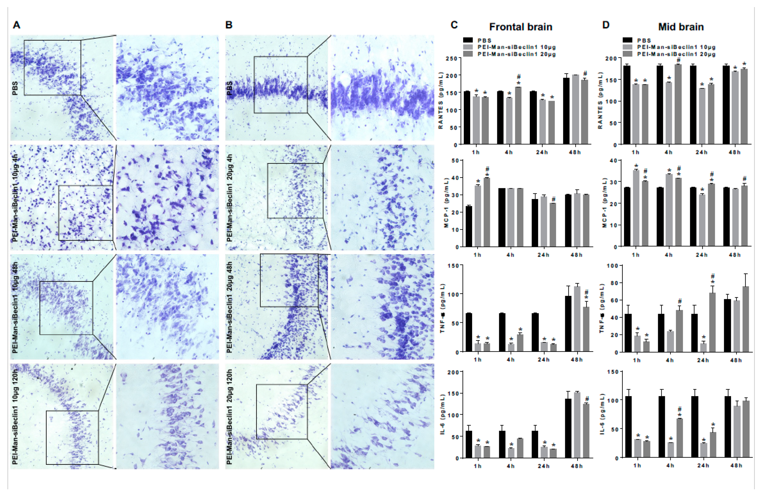 Pharmaceutics 13 00223 g004
