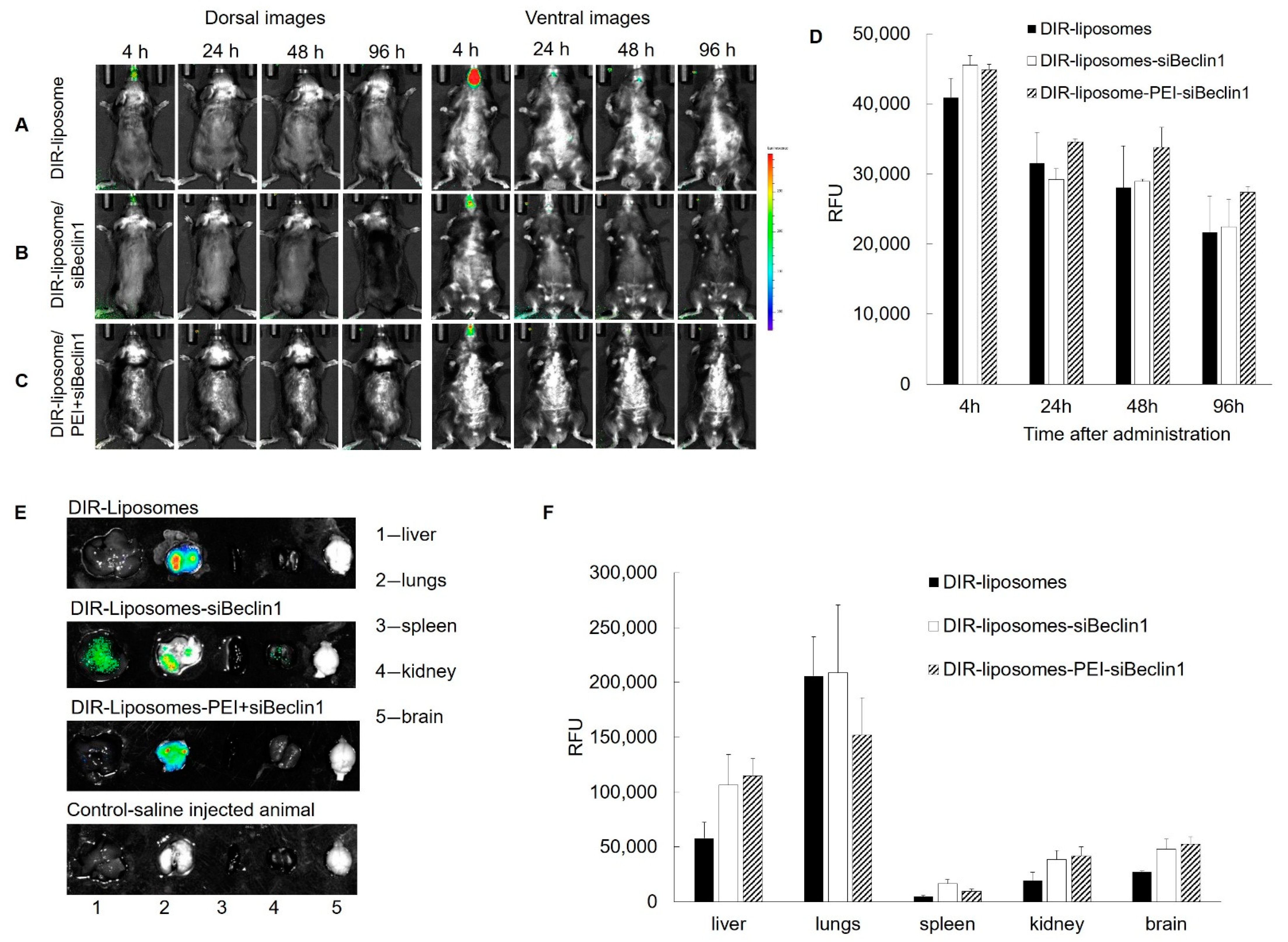 Pharmaceutics 13 00223 g005