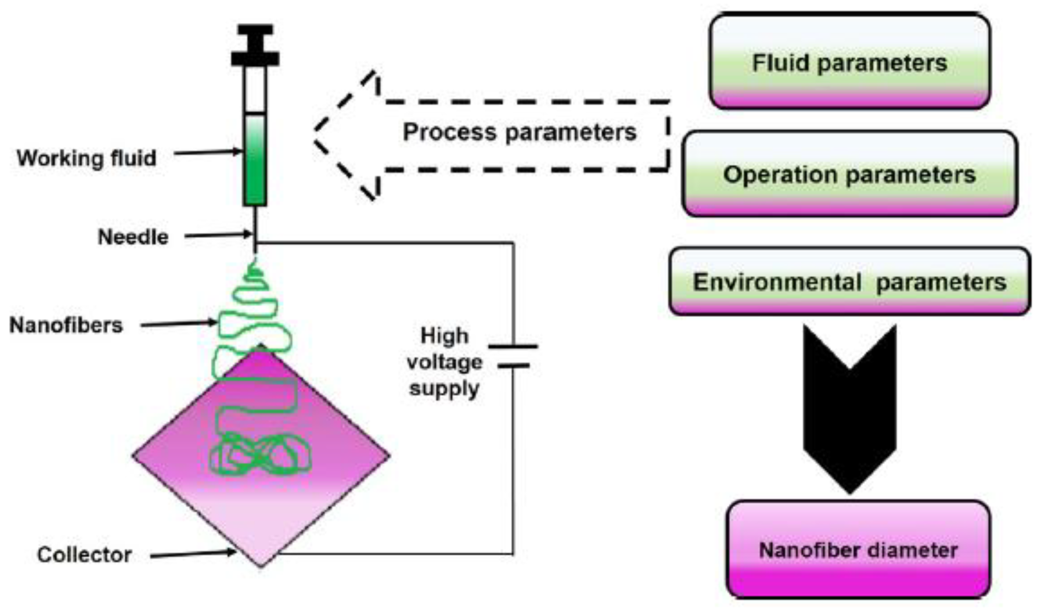 Pharmaceutics 13 00230 g001