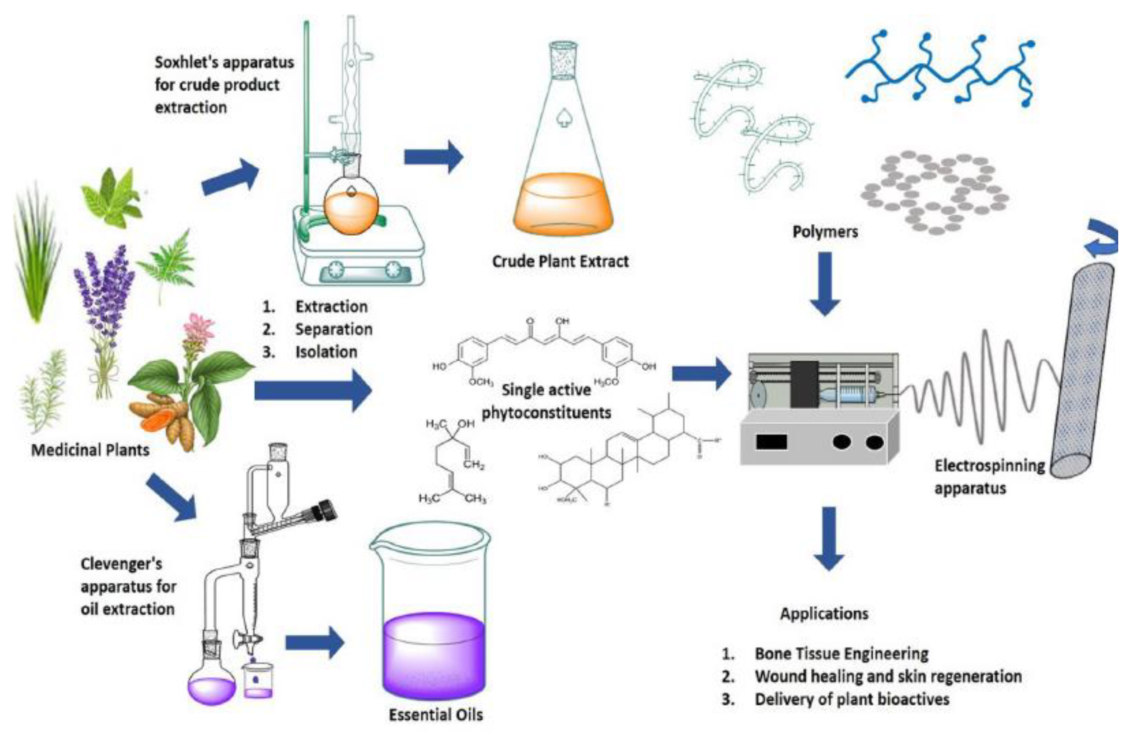 Pharmaceutics 13 00230 g002