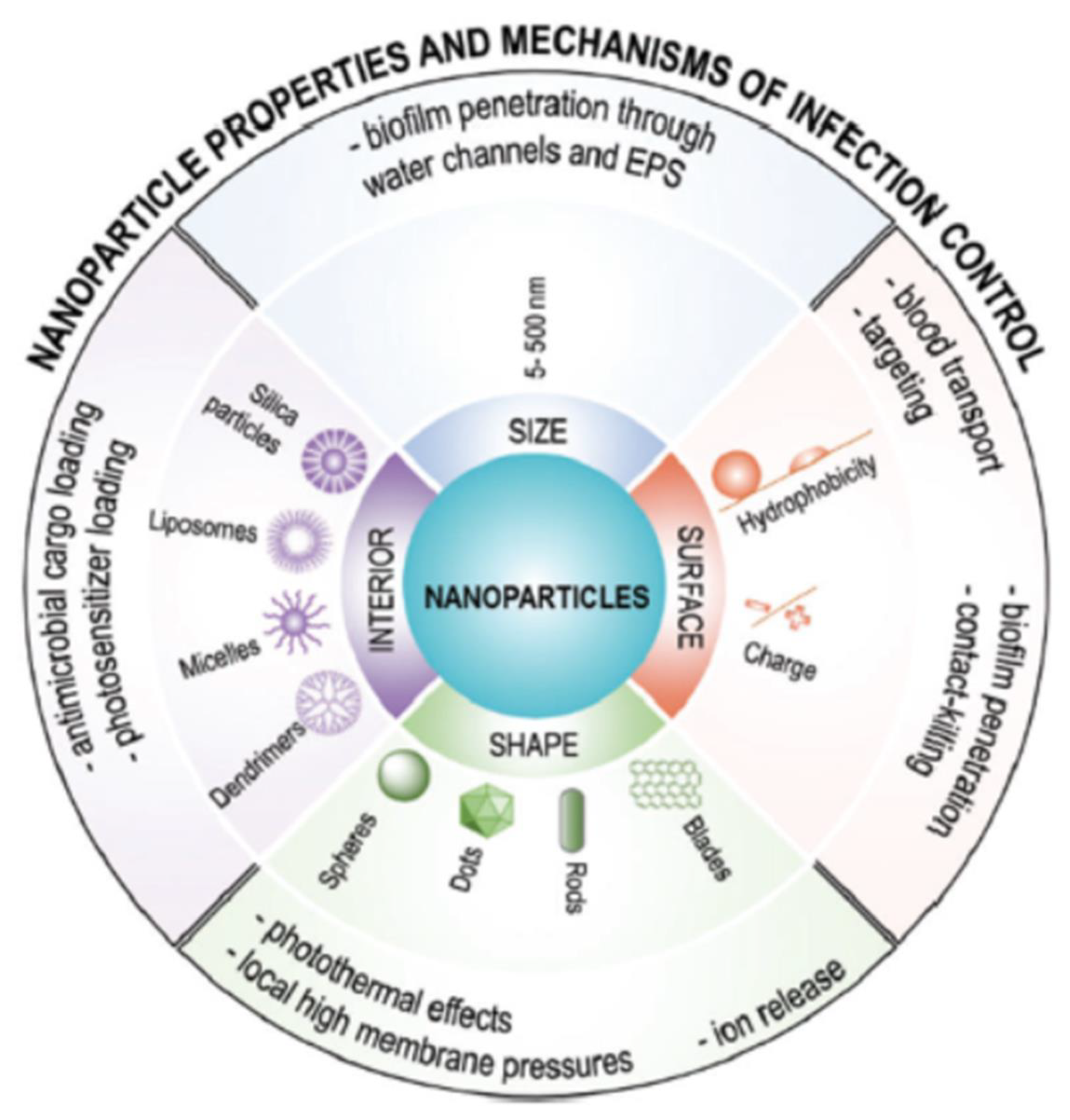 Pharmaceutics 13 00230 g003