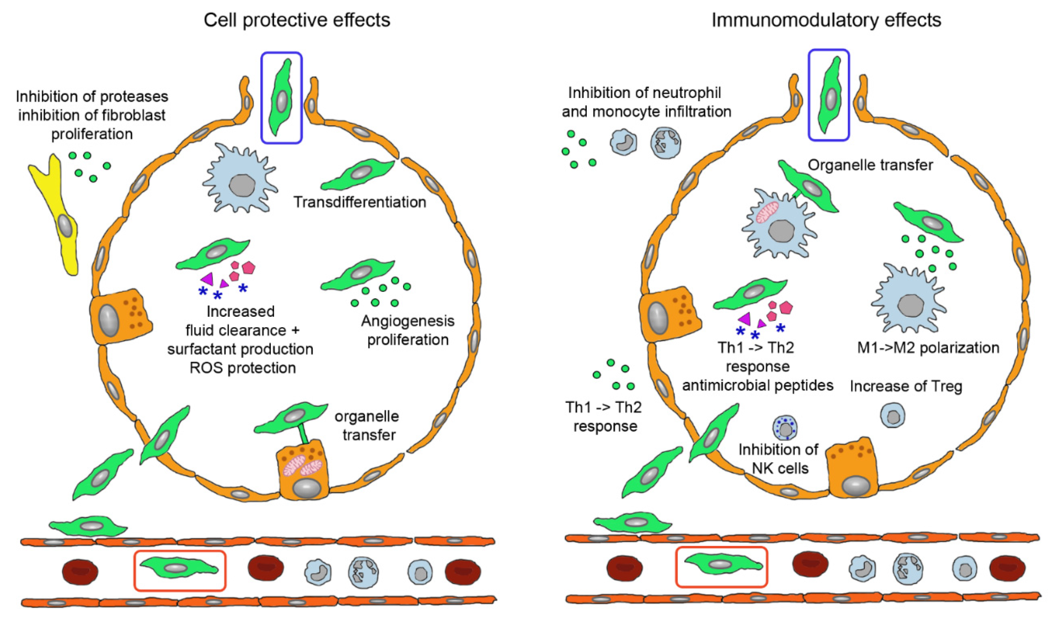 Pharmaceutics 13 00232 g003 Pharmaceutics 13 00232 g003