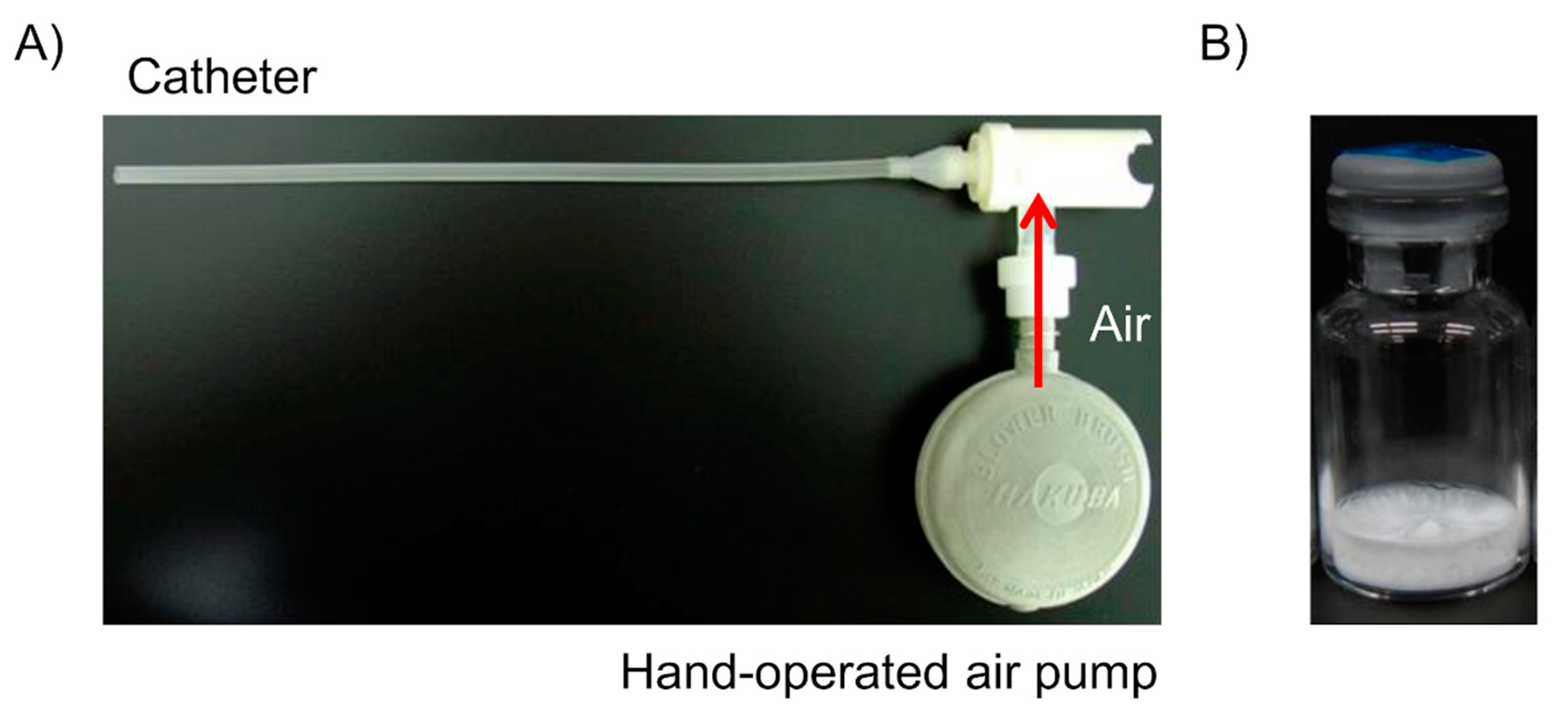 Pharmaceutics 13 00233 g003 Pharmaceutics 13 00233 g003