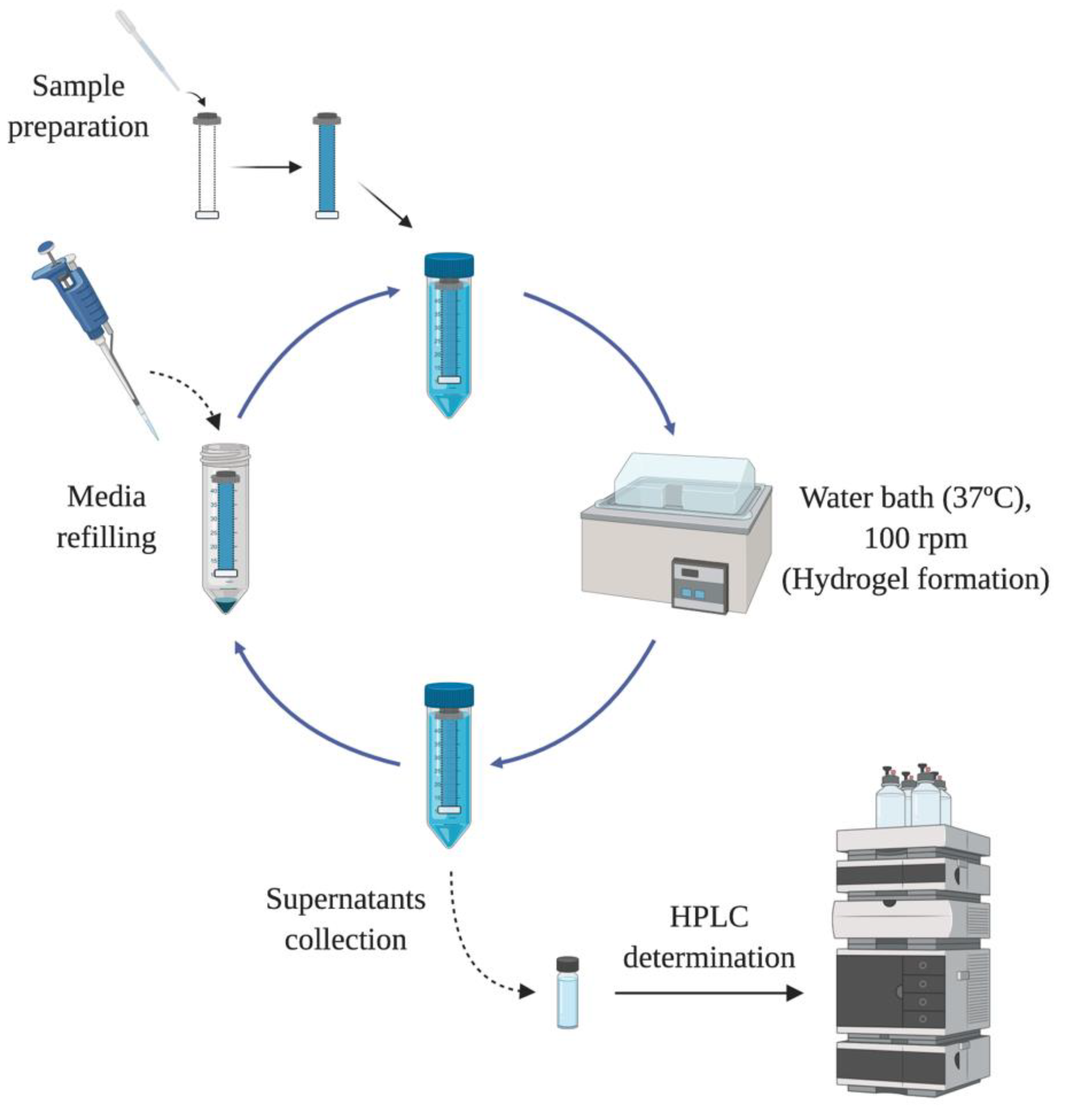 Pharmaceutics 13 00234 g001