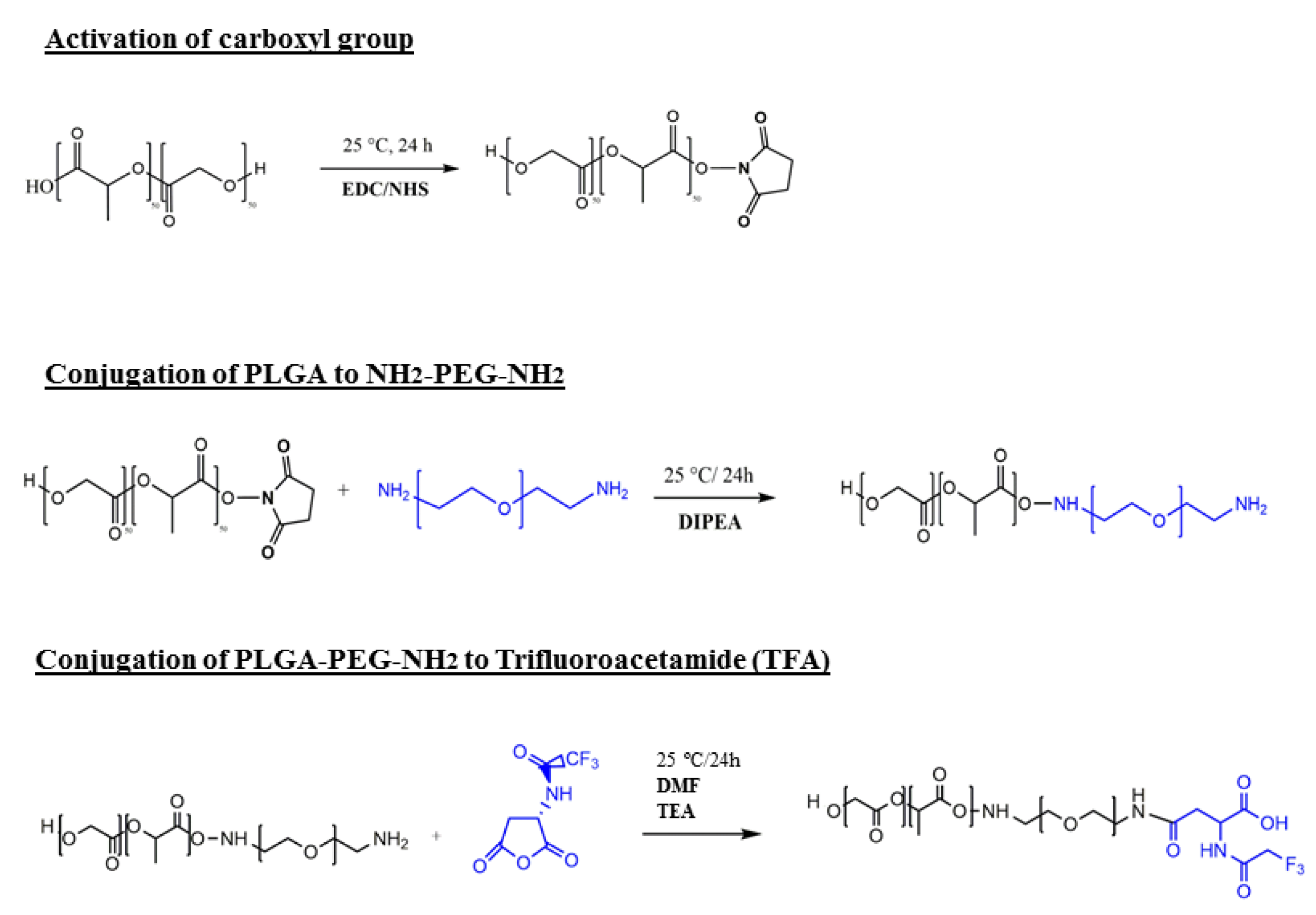 Pharmaceutics 13 00235 g001