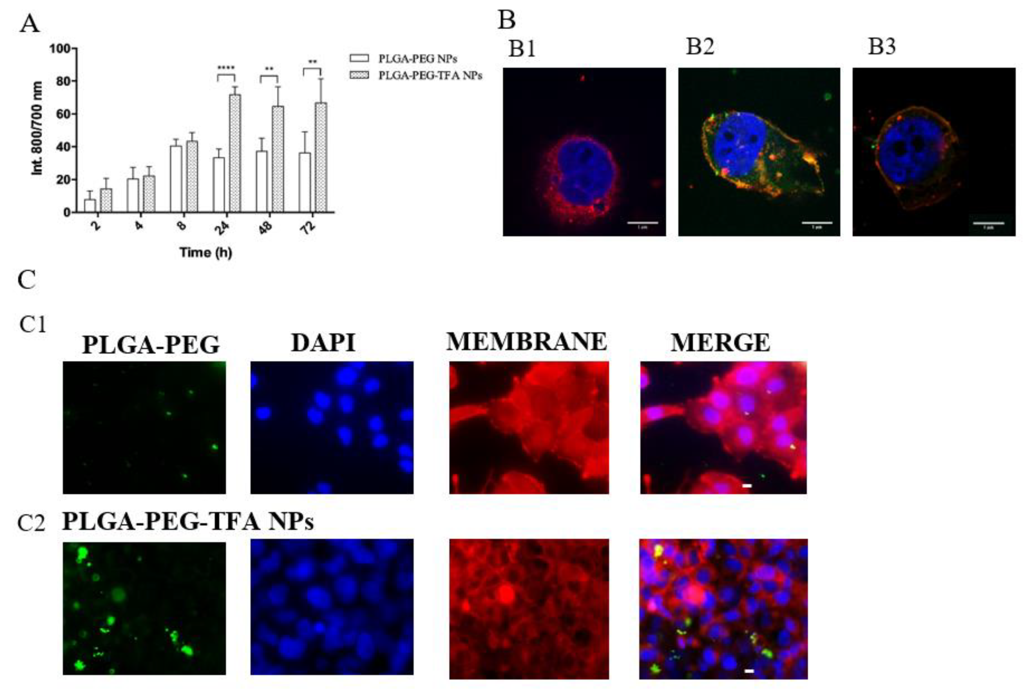 Pharmaceutics 13 00235 g005