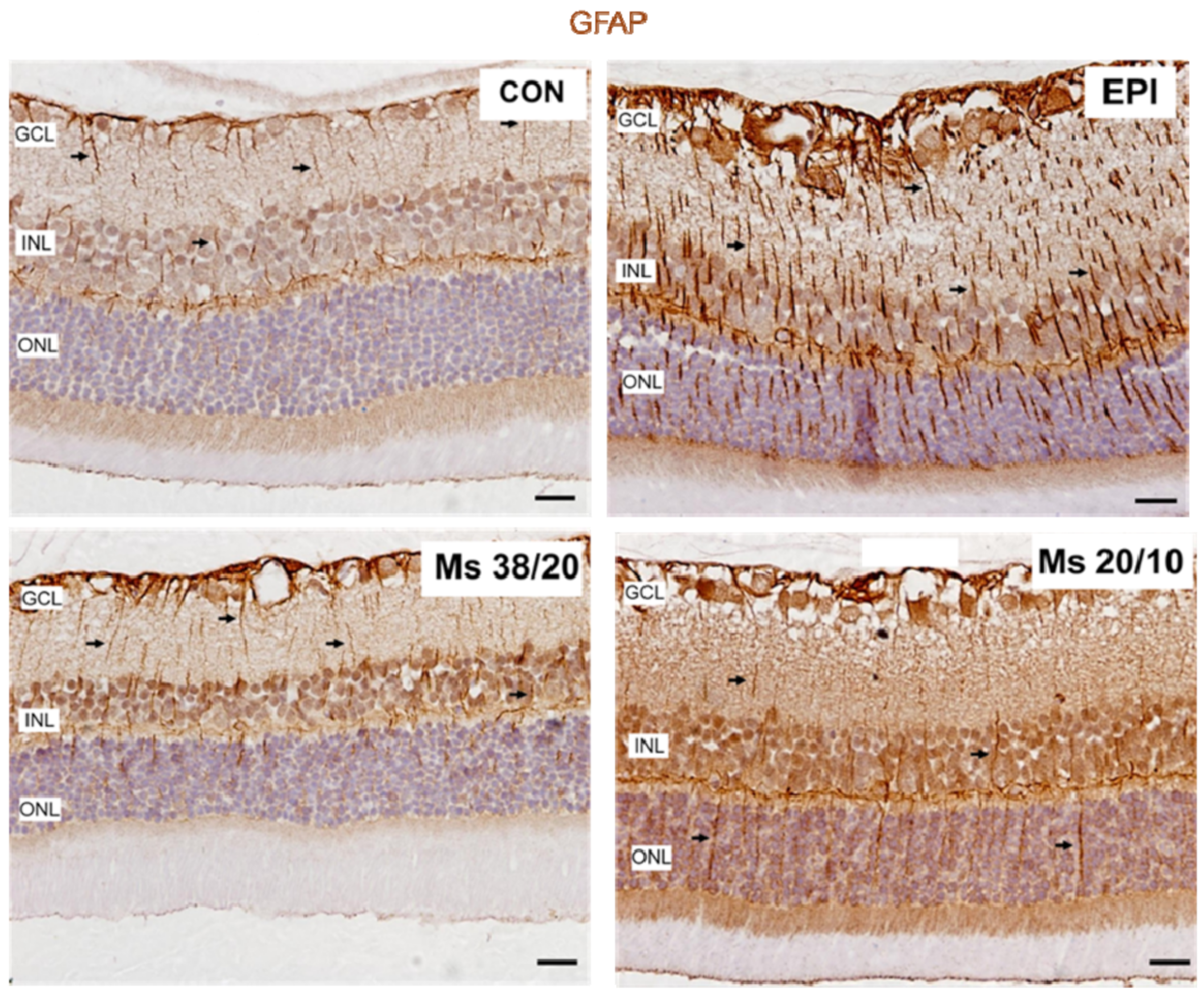 Pharmaceutics 13 00237 g008