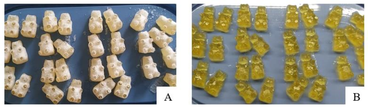 Pharmaceutics 13 00238 g006