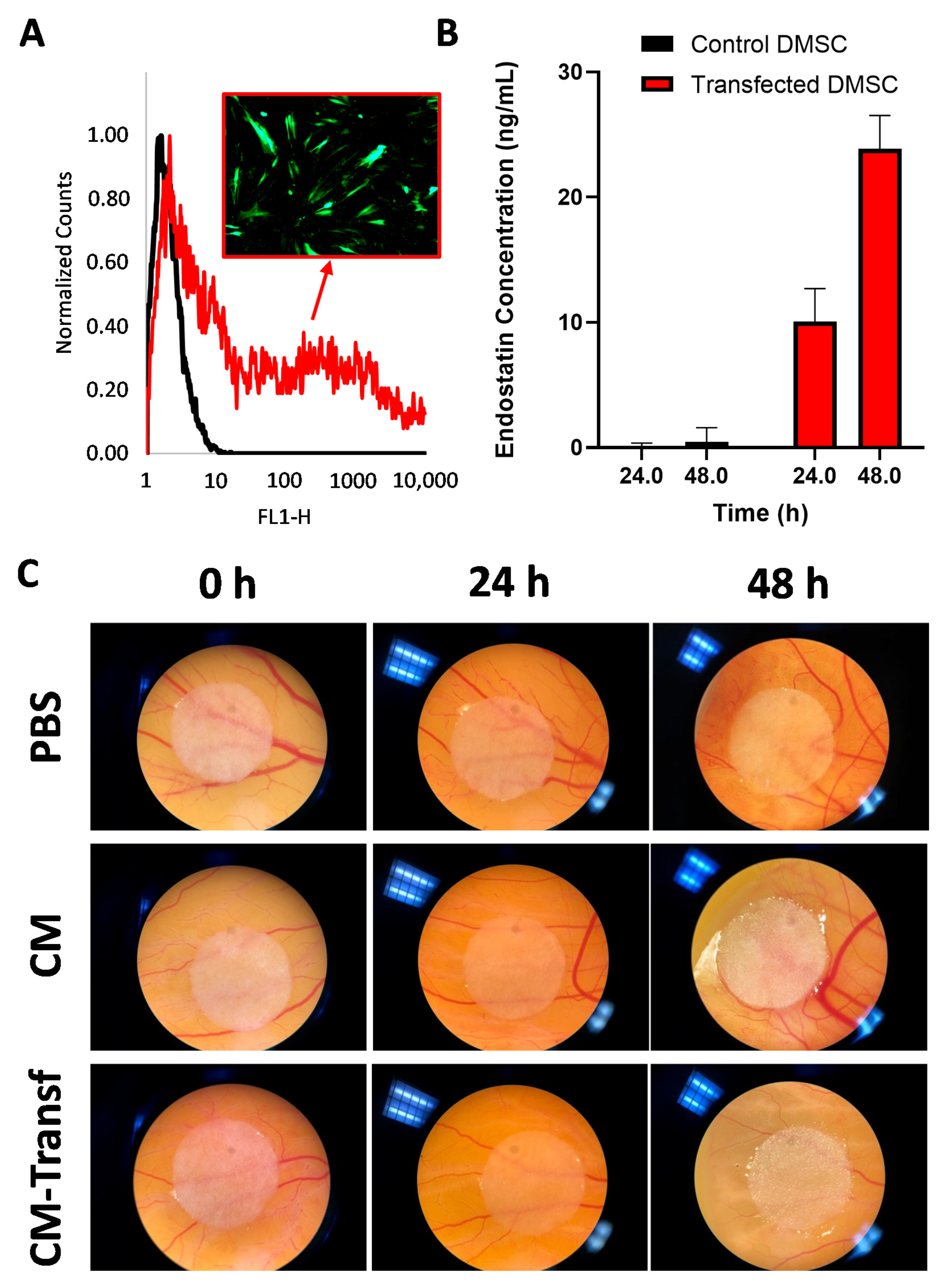 Pharmaceutics 13 00244 g001 Pharmaceutics 13 00244 g001