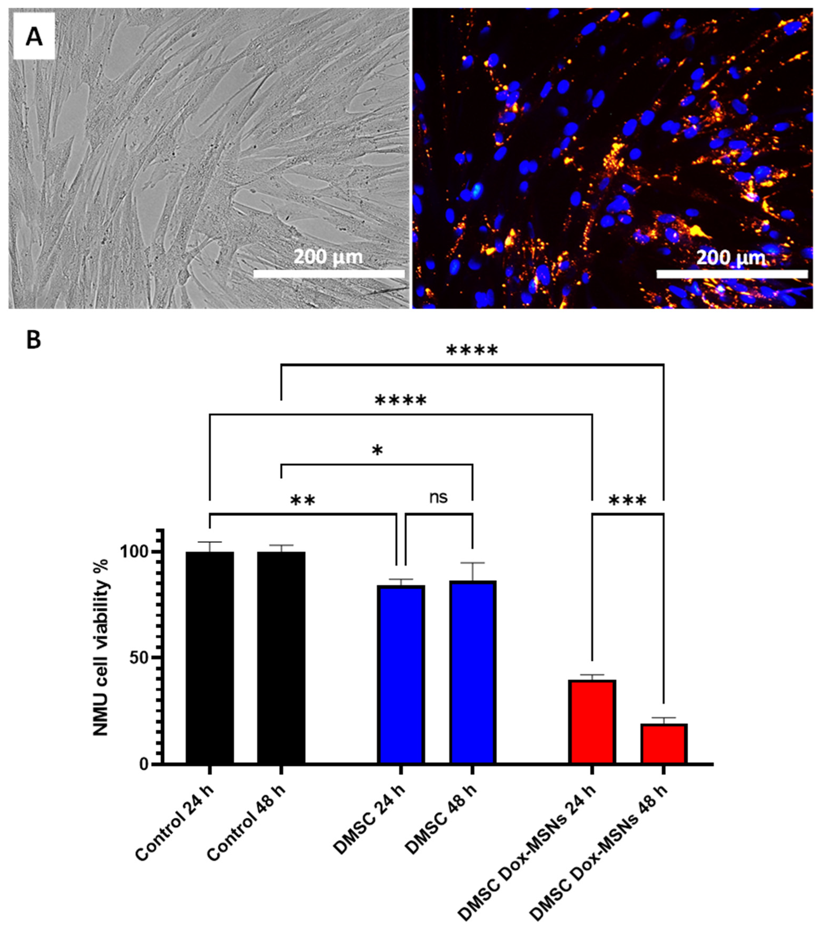 Pharmaceutics 13 00244 g003 Pharmaceutics 13 00244 g003