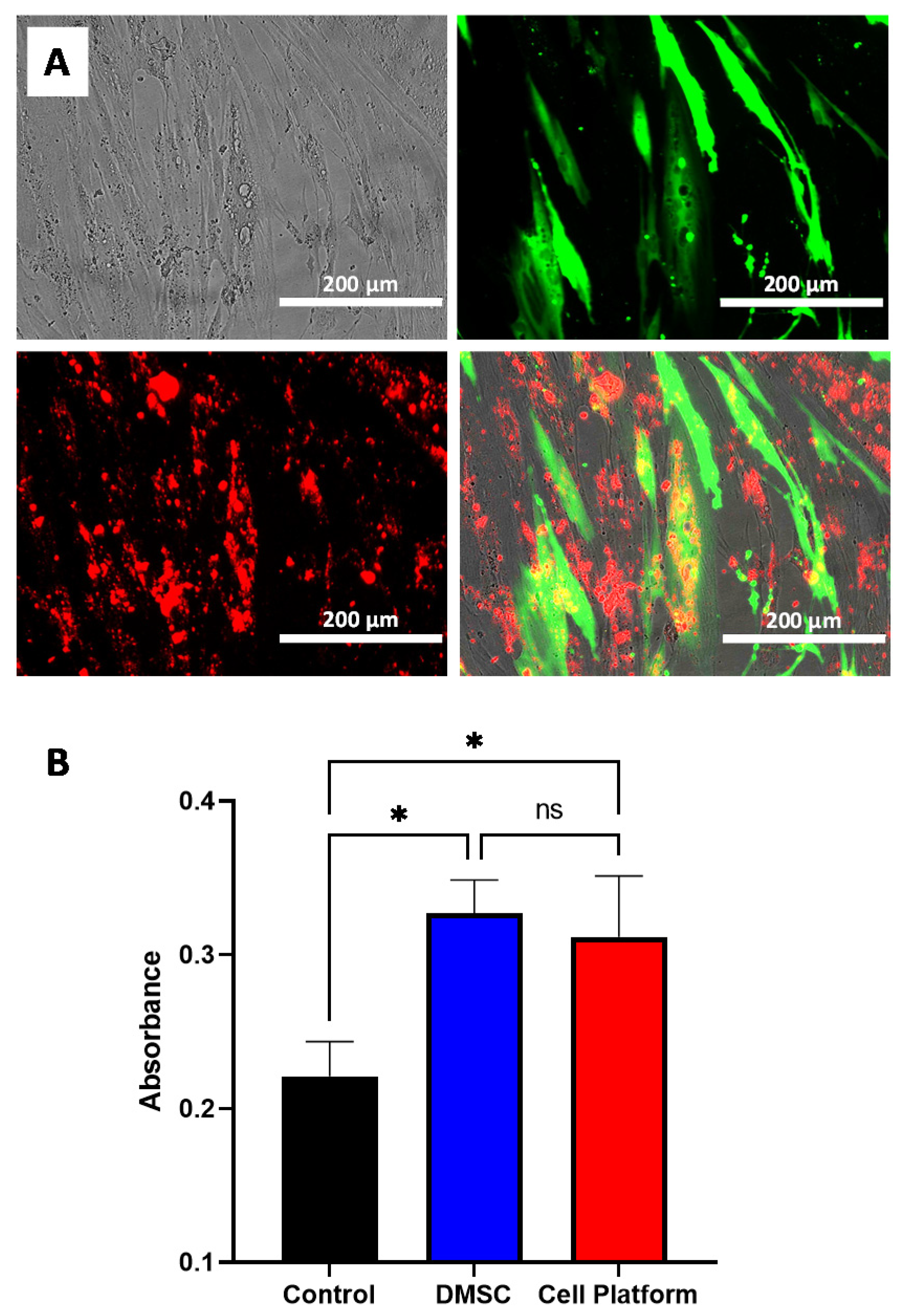 Pharmaceutics 13 00244 g004 Pharmaceutics 13 00244 g004