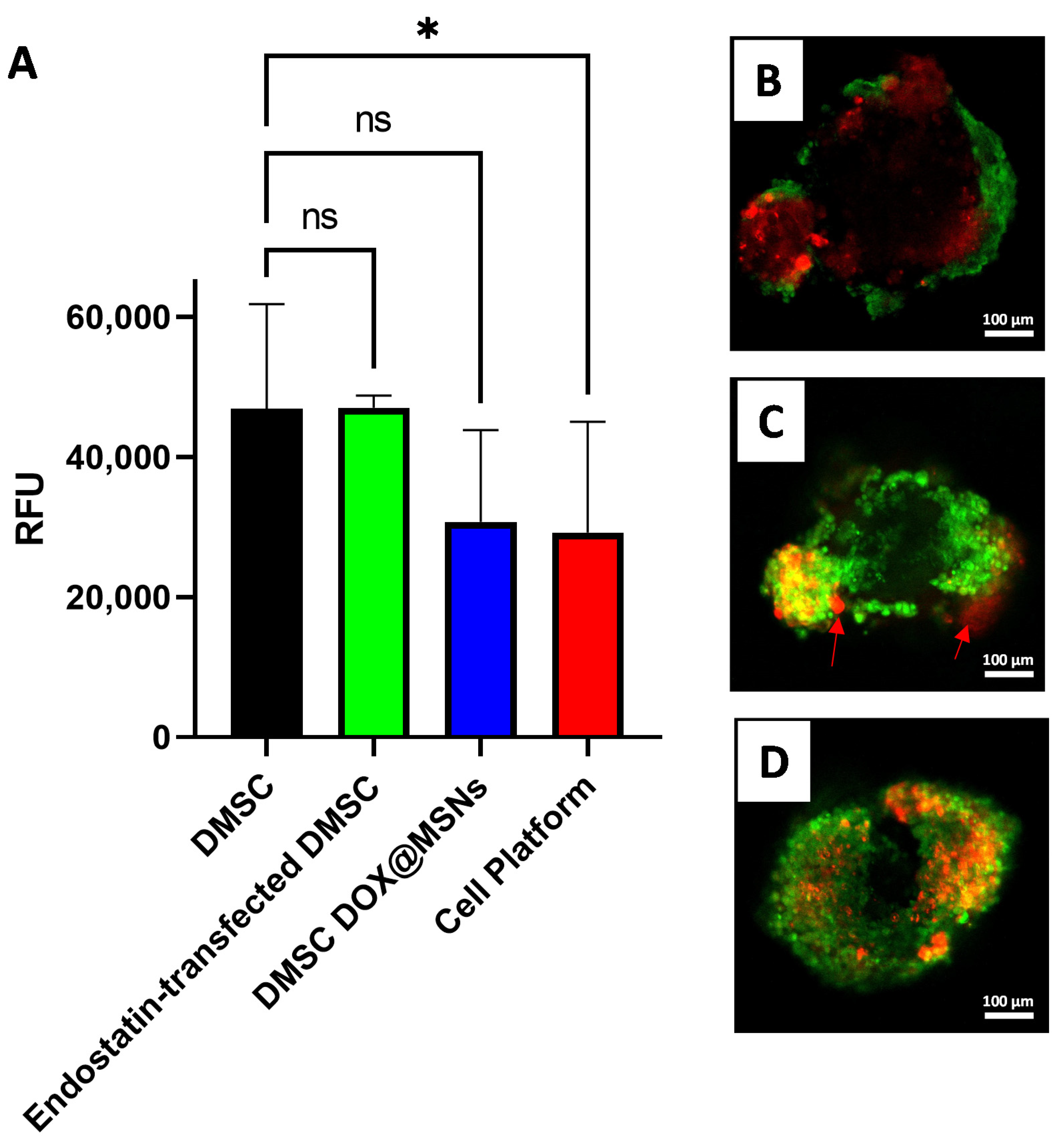 Pharmaceutics 13 00244 g005 Pharmaceutics 13 00244 g005