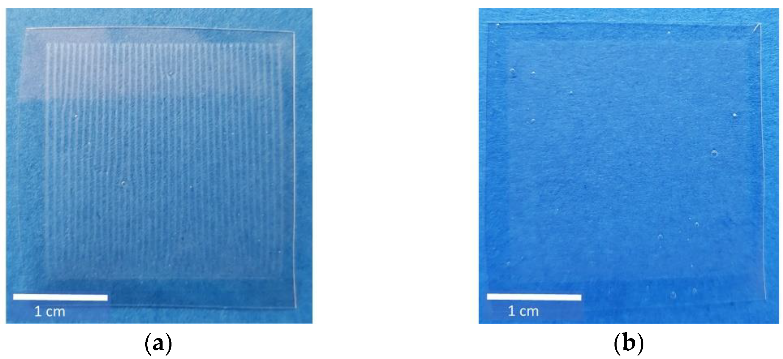 Pharmaceutics 13 00247 g002 Pharmaceutics 13 00247 g002