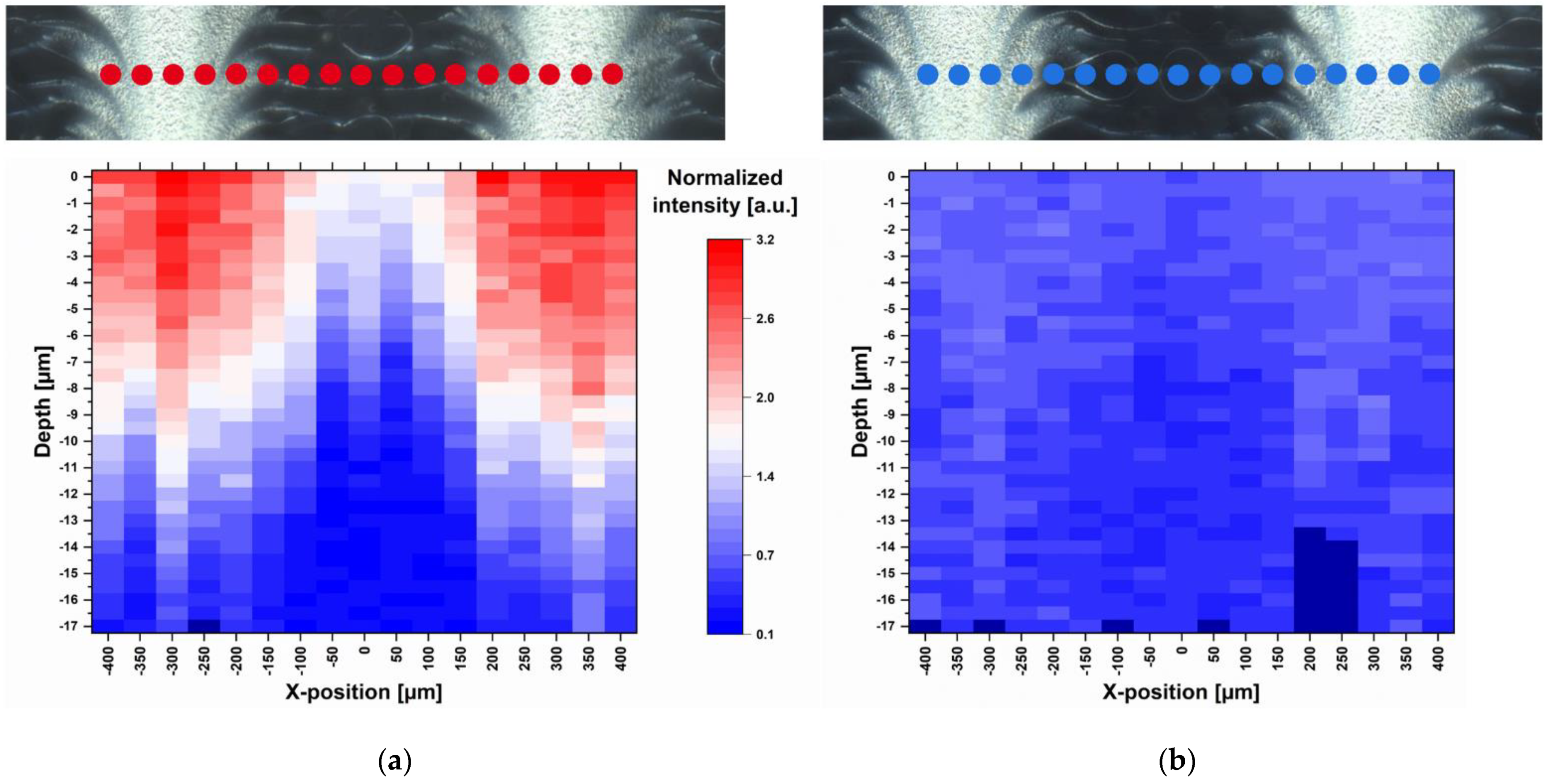 Pharmaceutics 13 00247 g004 Pharmaceutics 13 00247 g004