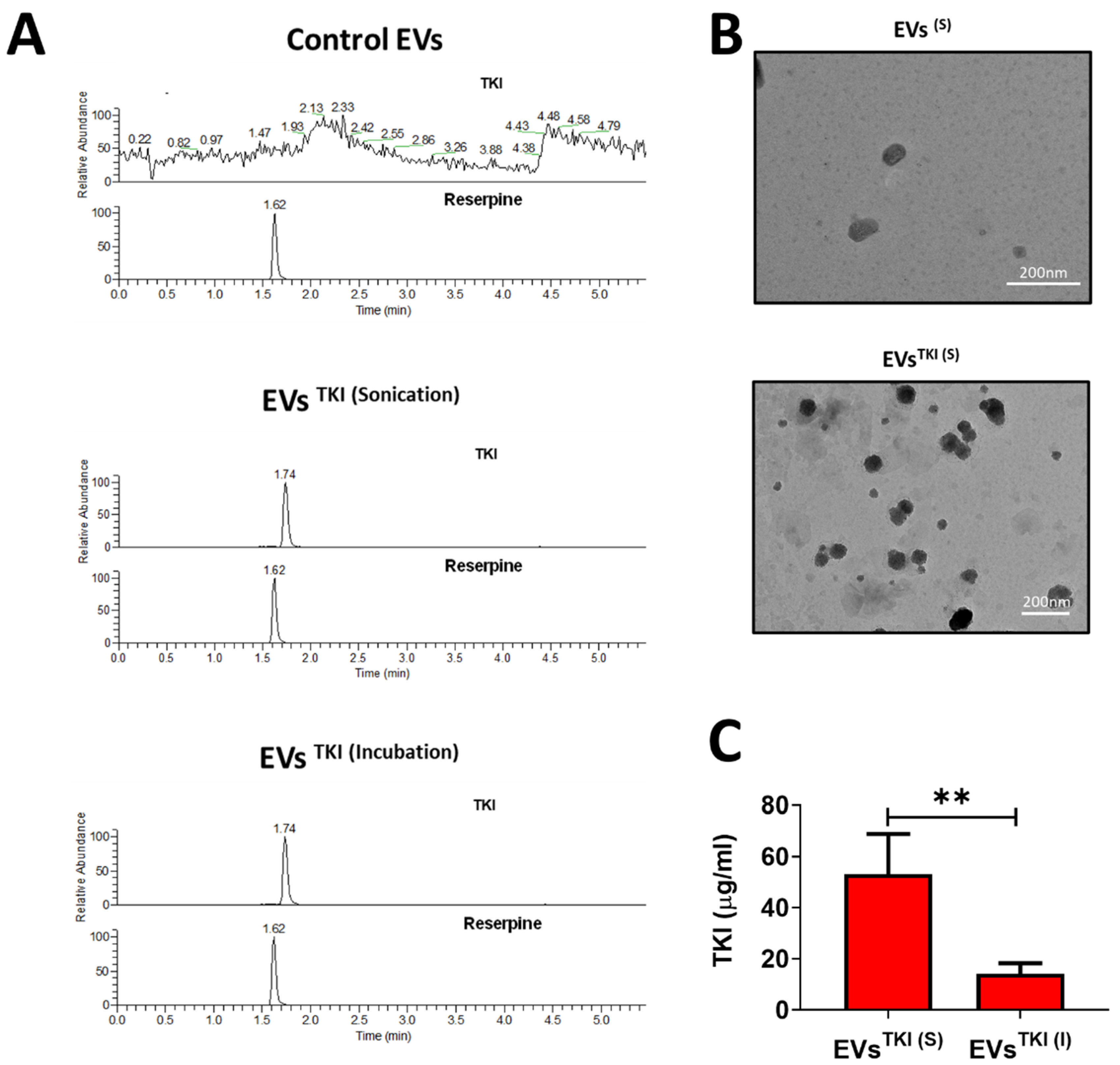 Pharmaceutics 13 00248 g004