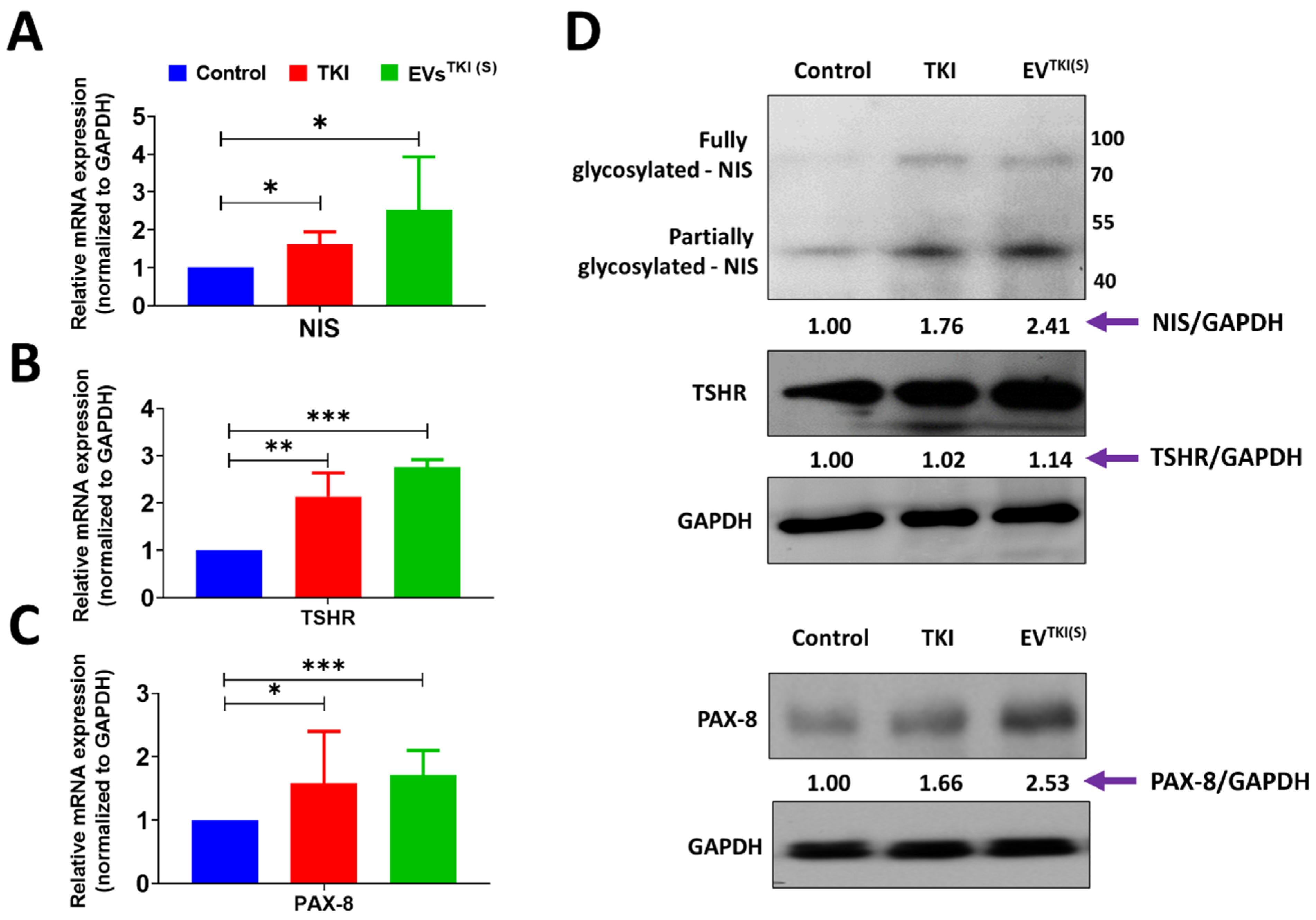 Pharmaceutics 13 00248 g006