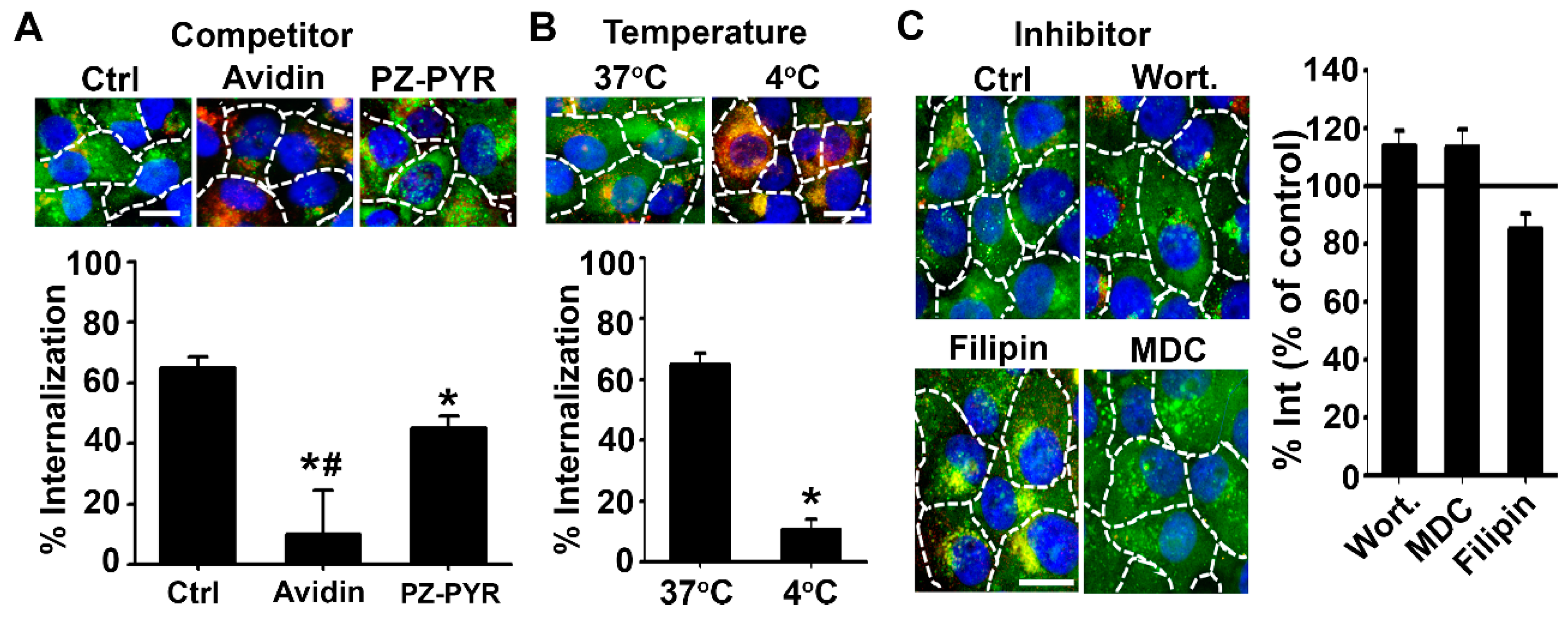 Pharmaceutics 13 00249 g004