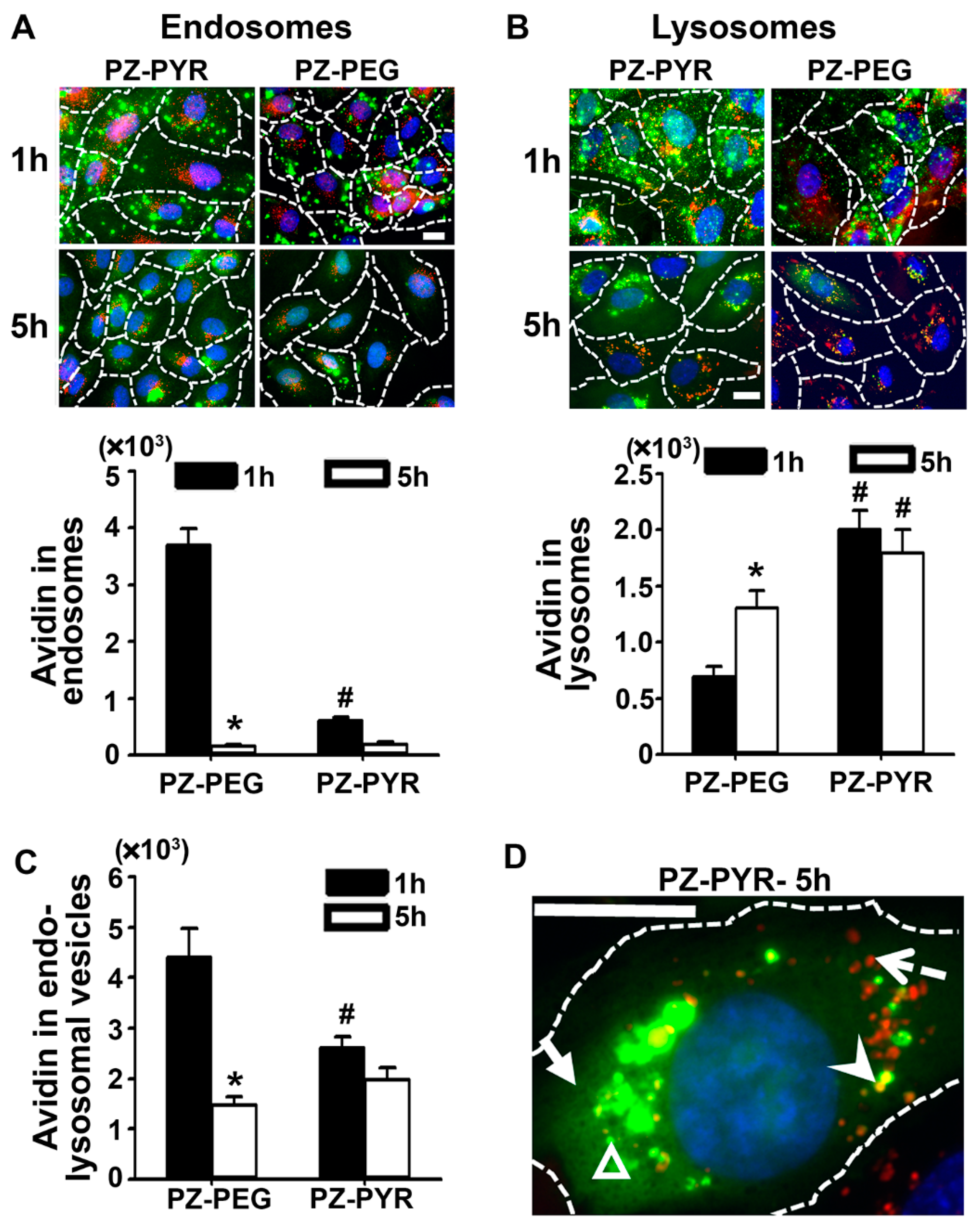 Pharmaceutics 13 00249 g005