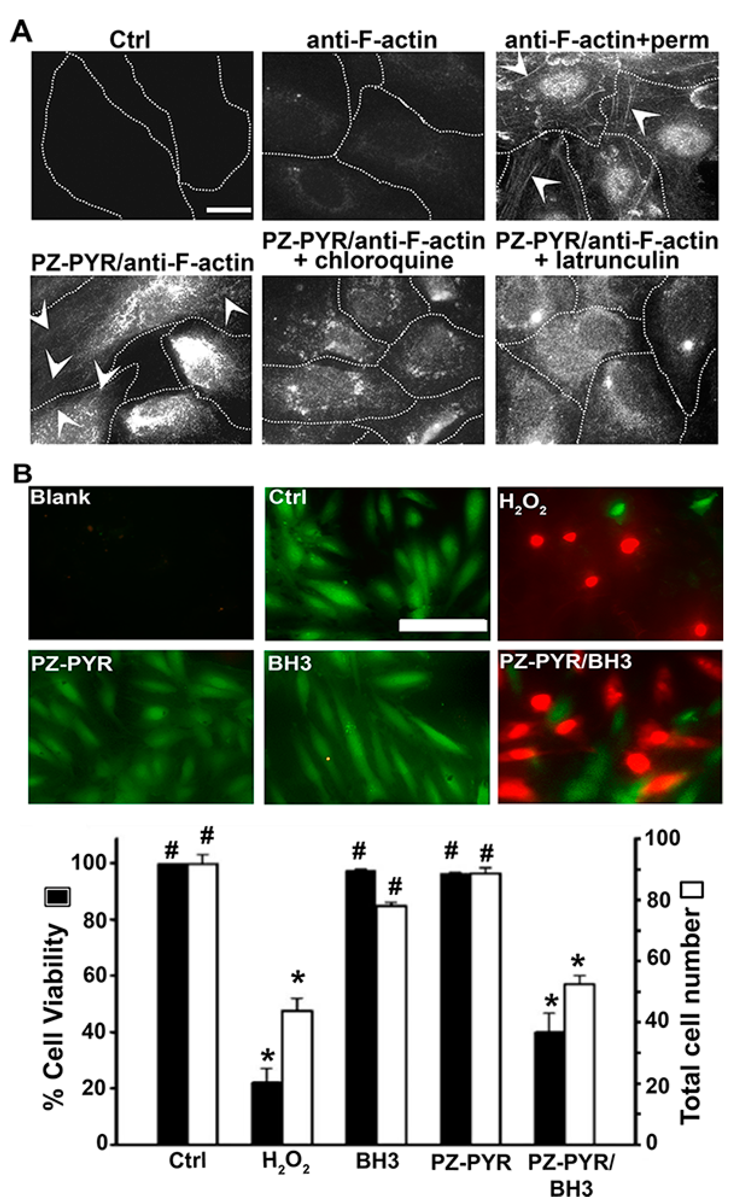Pharmaceutics 13 00249 g006