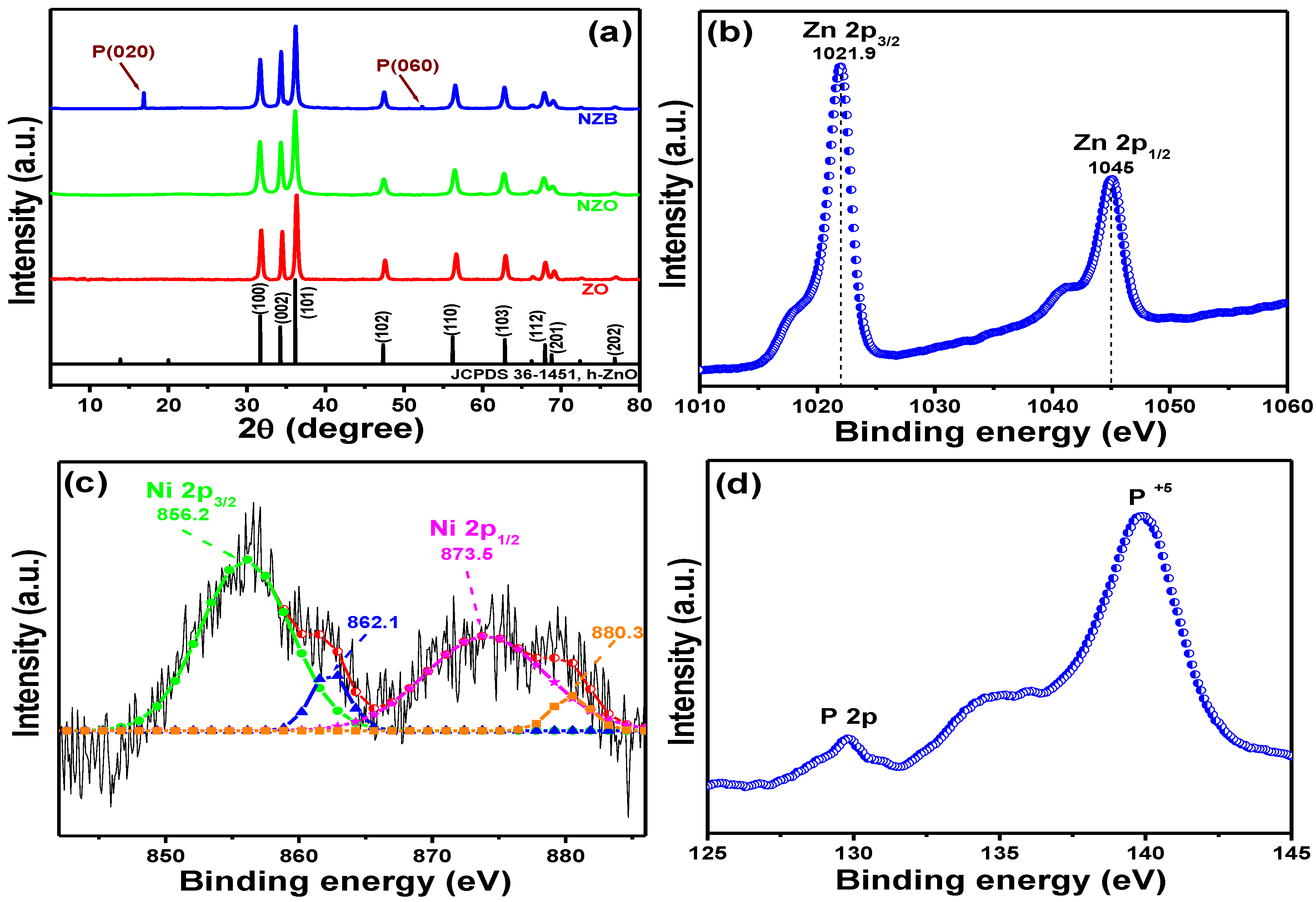 Pharmaceutics 13 00250 g001