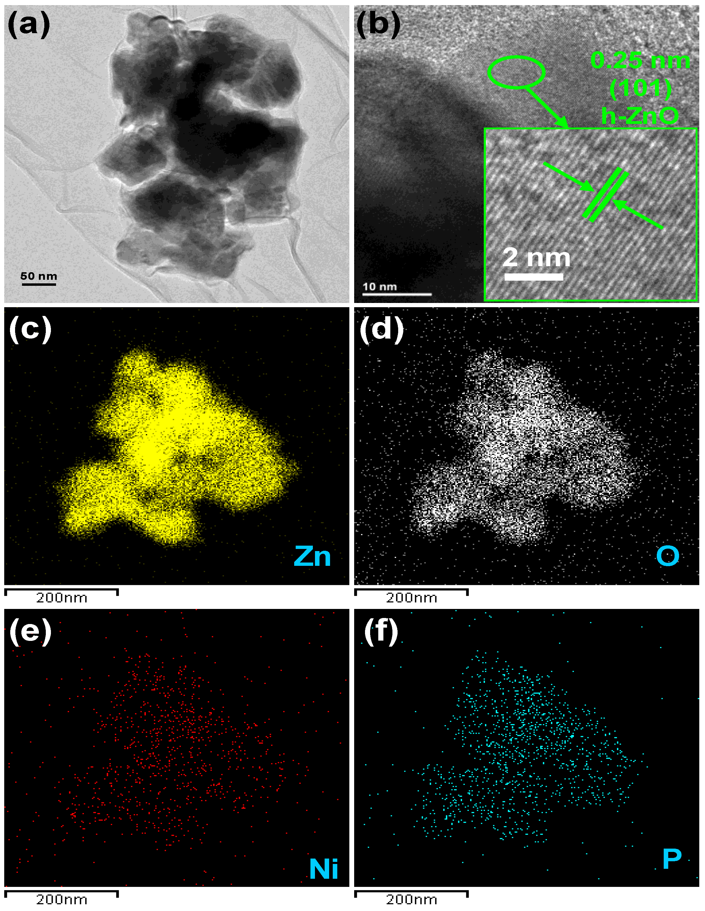 Pharmaceutics 13 00250 g002