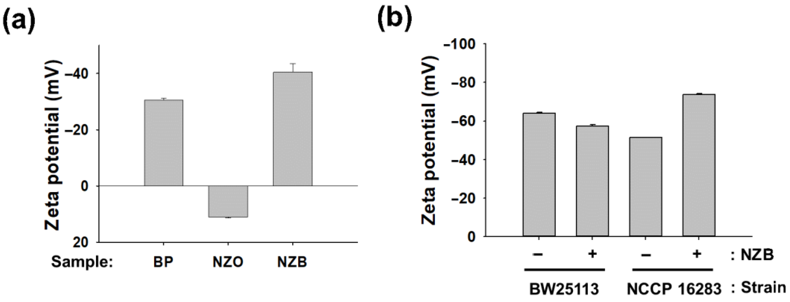 Pharmaceutics 13 00250 g004