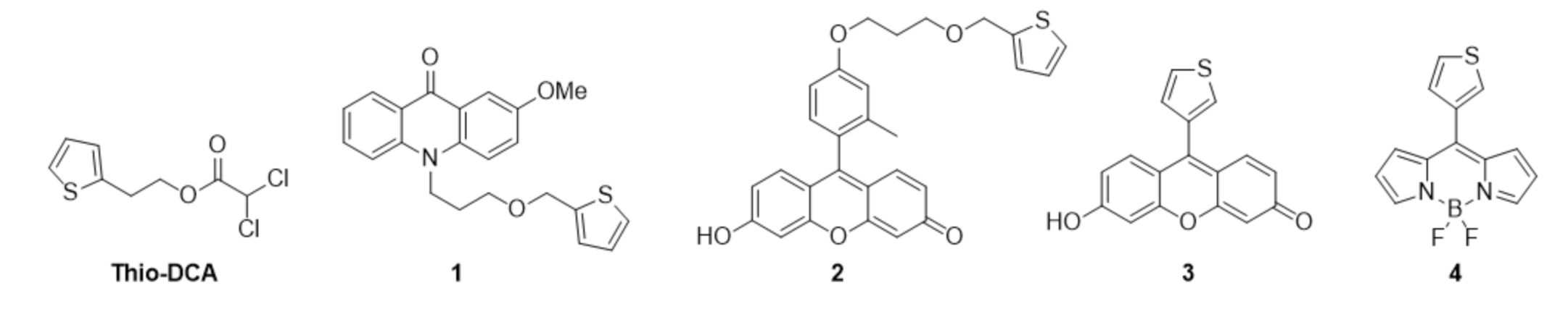 Pharmaceutics 13 00254 ch001 Pharmaceutics 13 00254 ch001