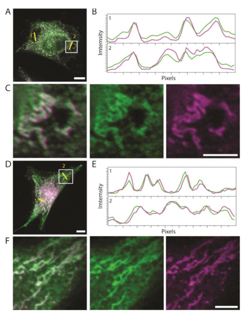 Pharmaceutics 13 00254 g001 Pharmaceutics 13 00254 g001