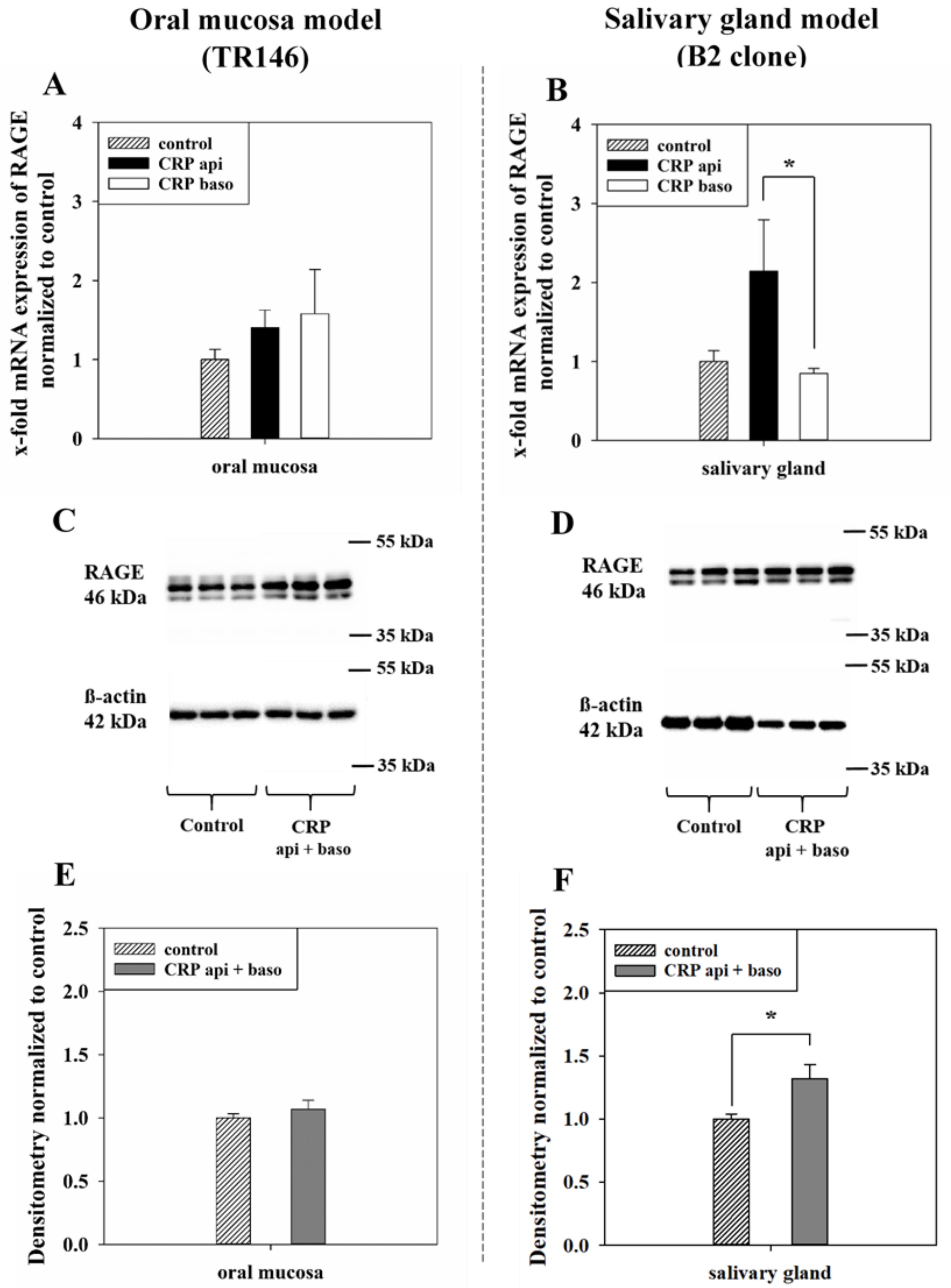 Pharmaceutics 13 00256 g003