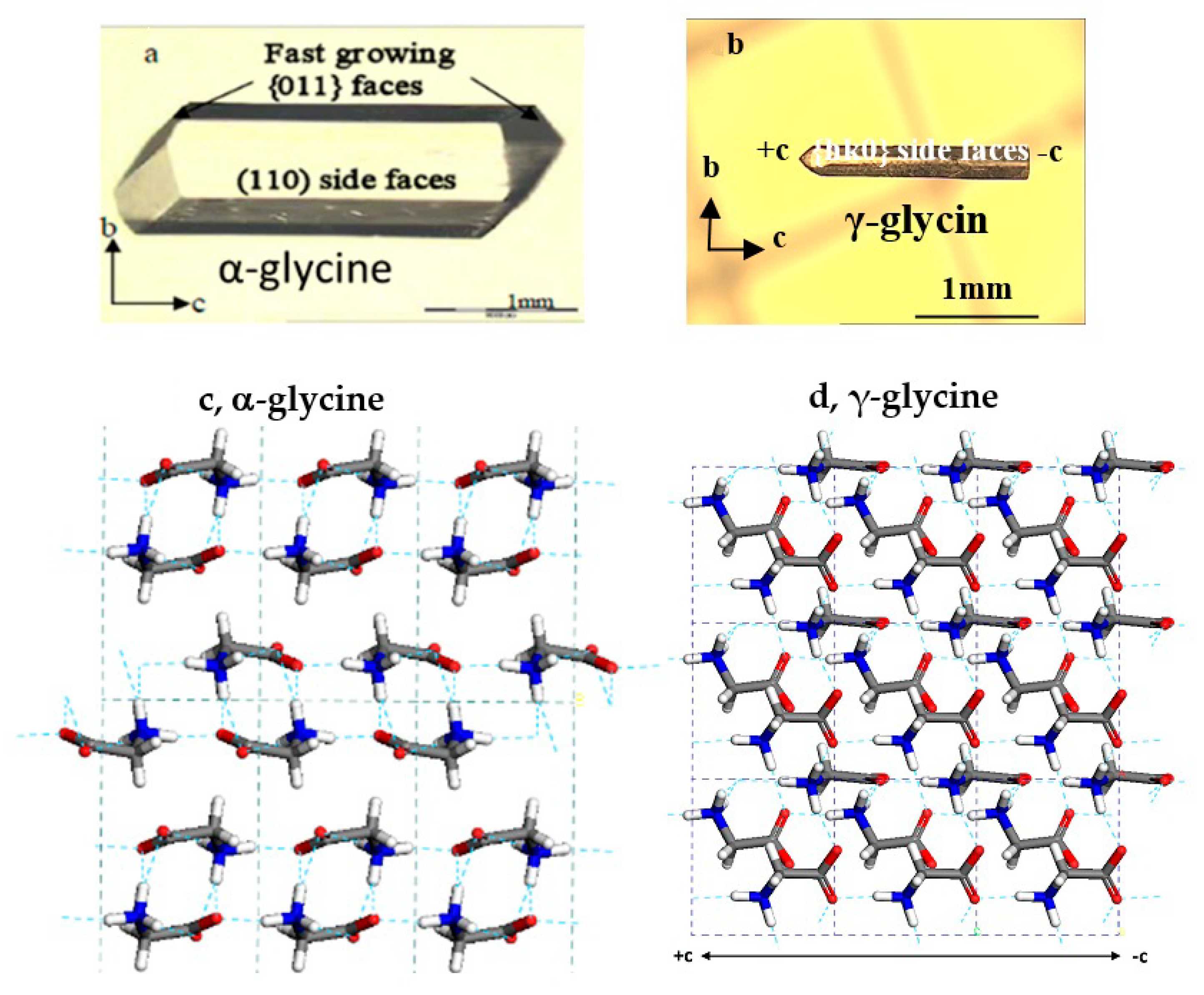 Pharmaceutics 13 00262 g001 Pharmaceutics 13 00262 g001