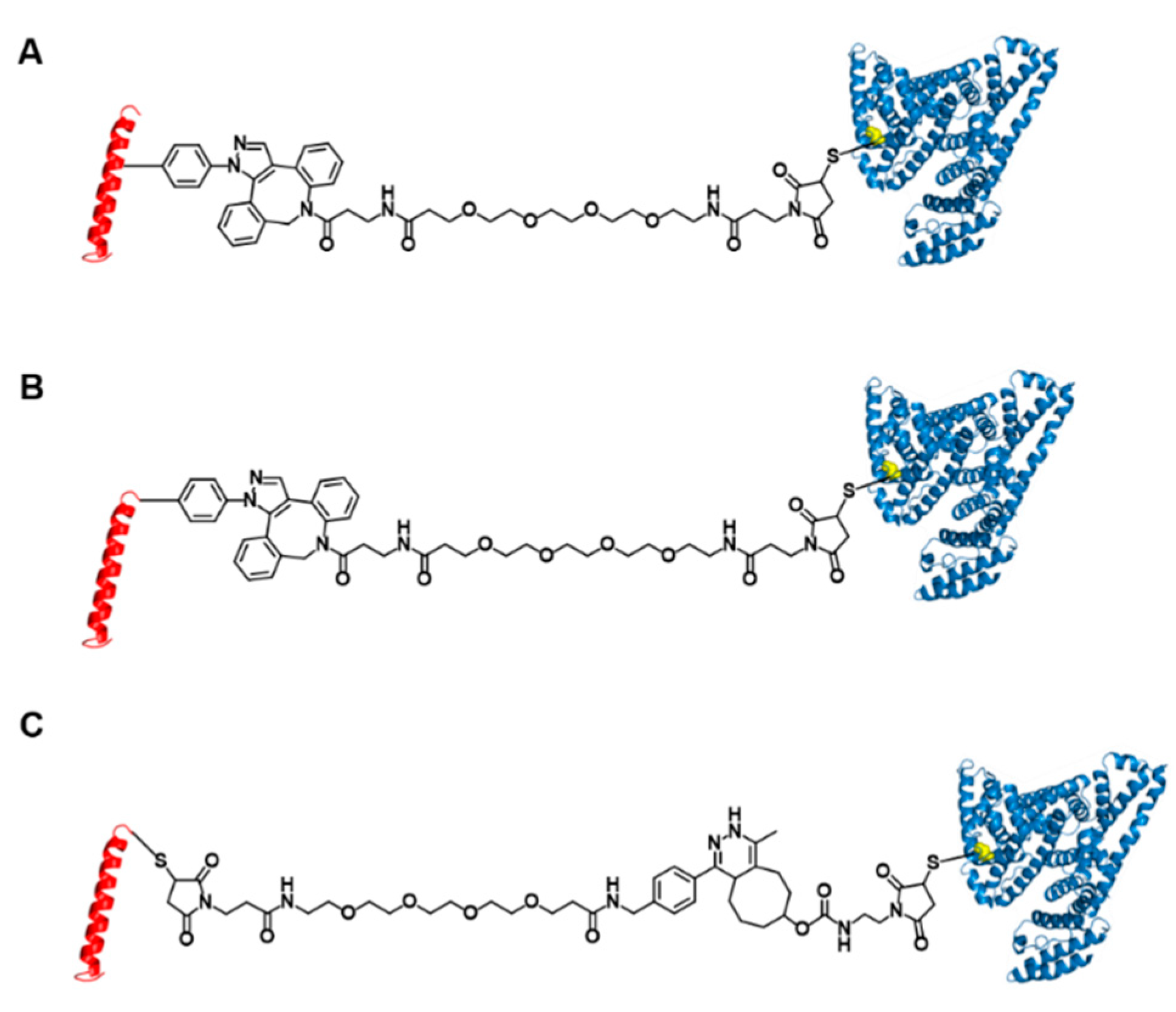 Pharmaceutics 13 00263 g001