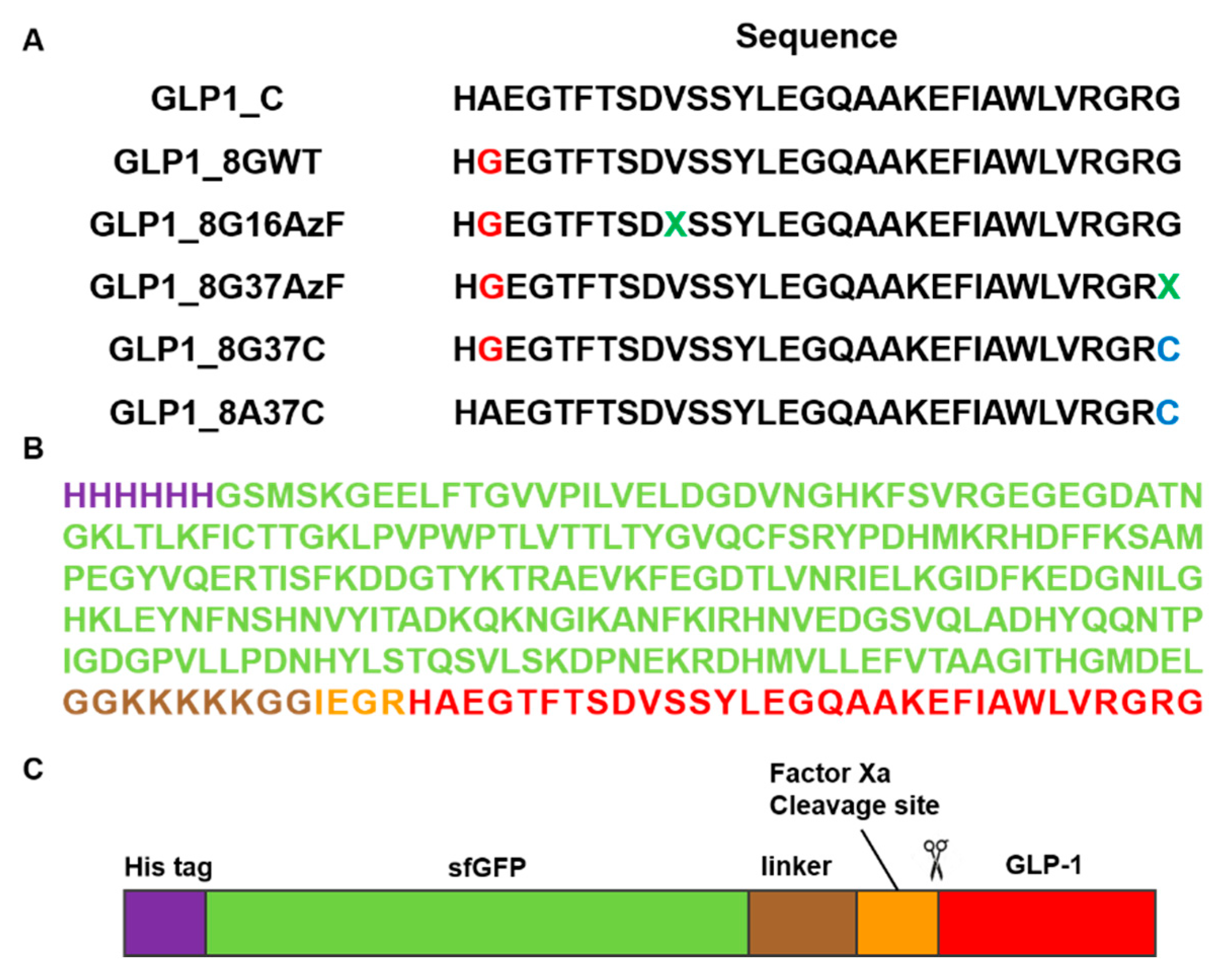 Pharmaceutics 13 00263 g002