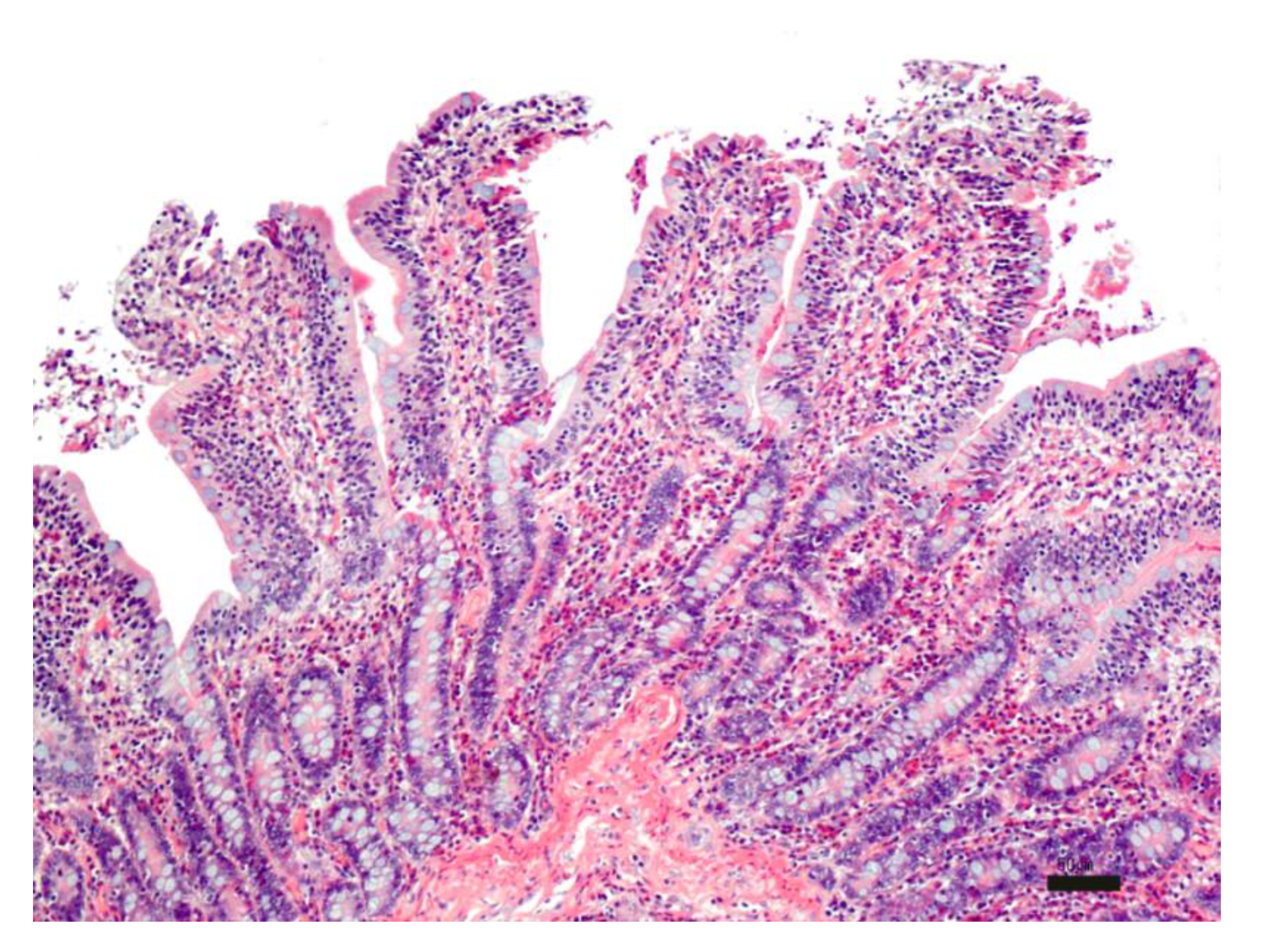 Pharmaceutics 13 00267 g006