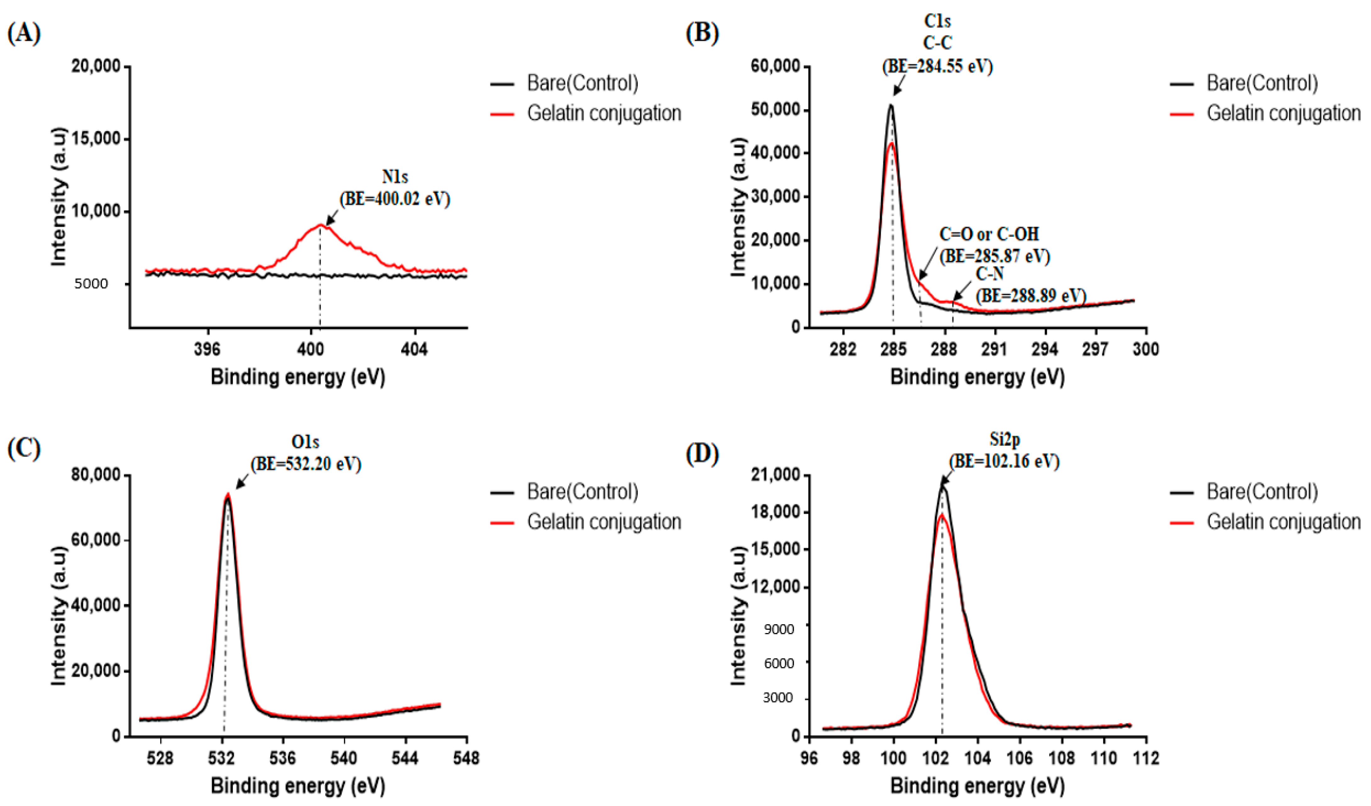 Pharmaceutics 13 00269 g003 Pharmaceutics 13 00269 g003