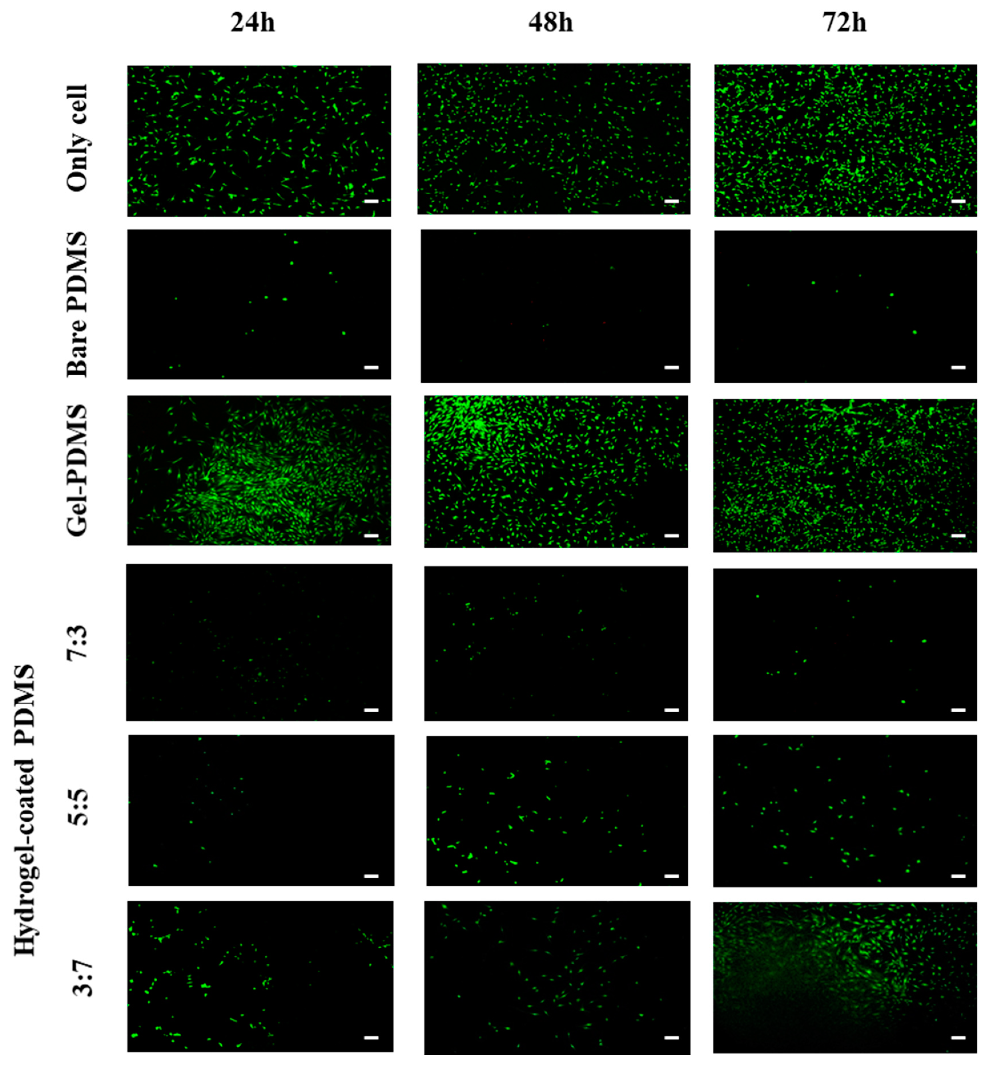 Pharmaceutics 13 00269 g008 Pharmaceutics 13 00269 g008