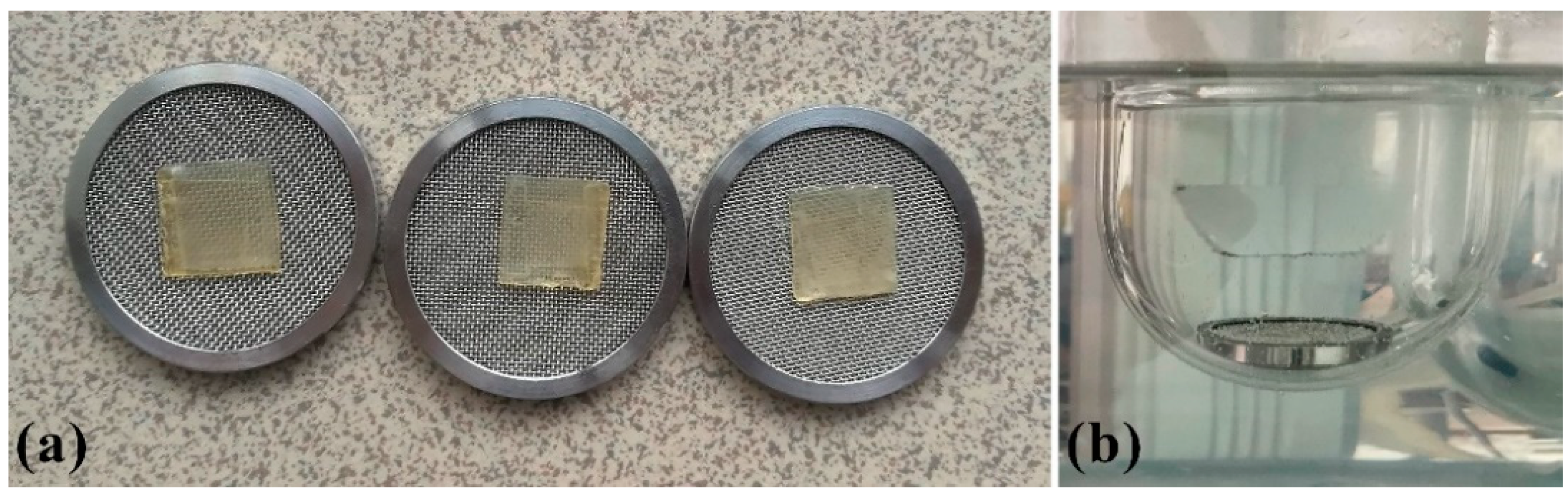 Pharmaceutics 13 00273 g003