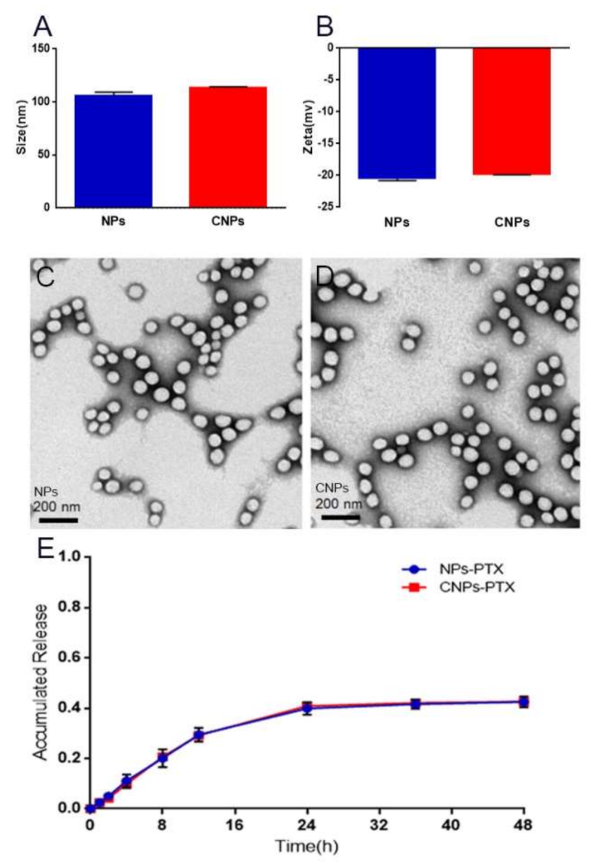 Pharmaceutics 13 00274 g002