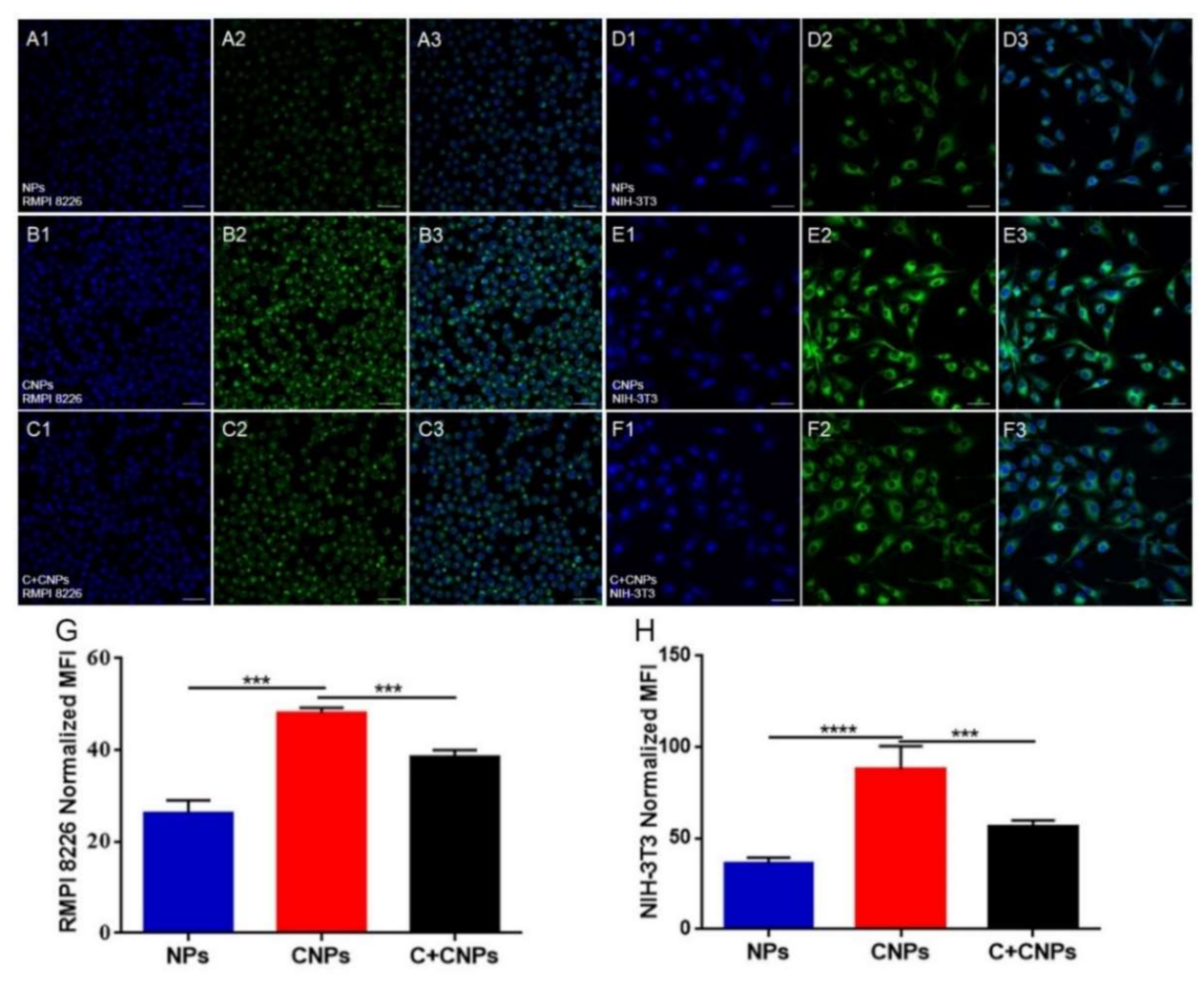 Pharmaceutics 13 00274 g003