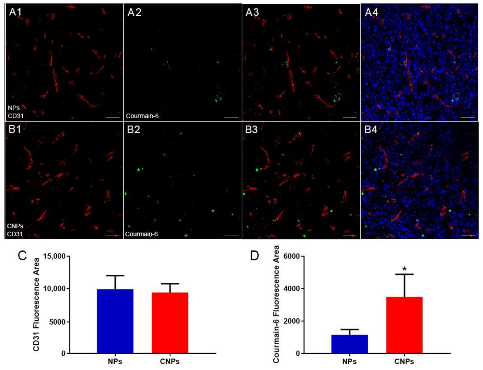 Pharmaceutics 13 00274 g006