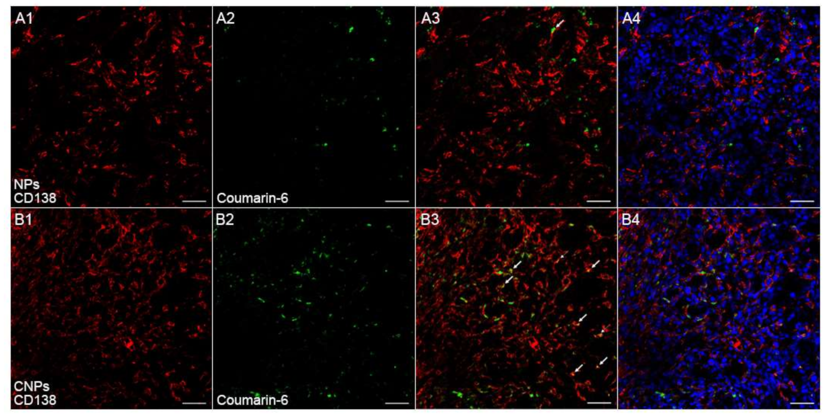 Pharmaceutics 13 00274 g008