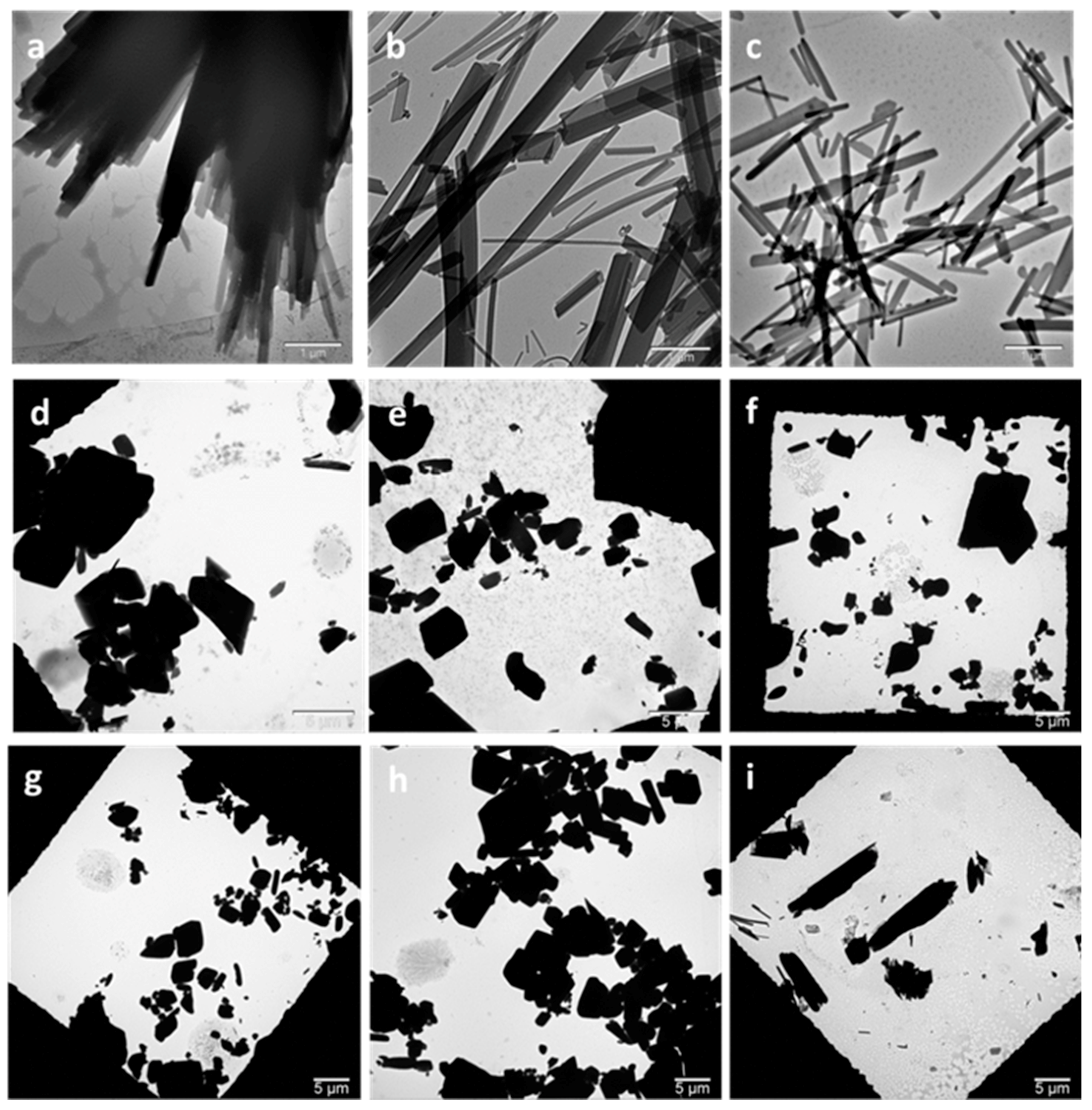 Pharmaceutics 13 00277 g002