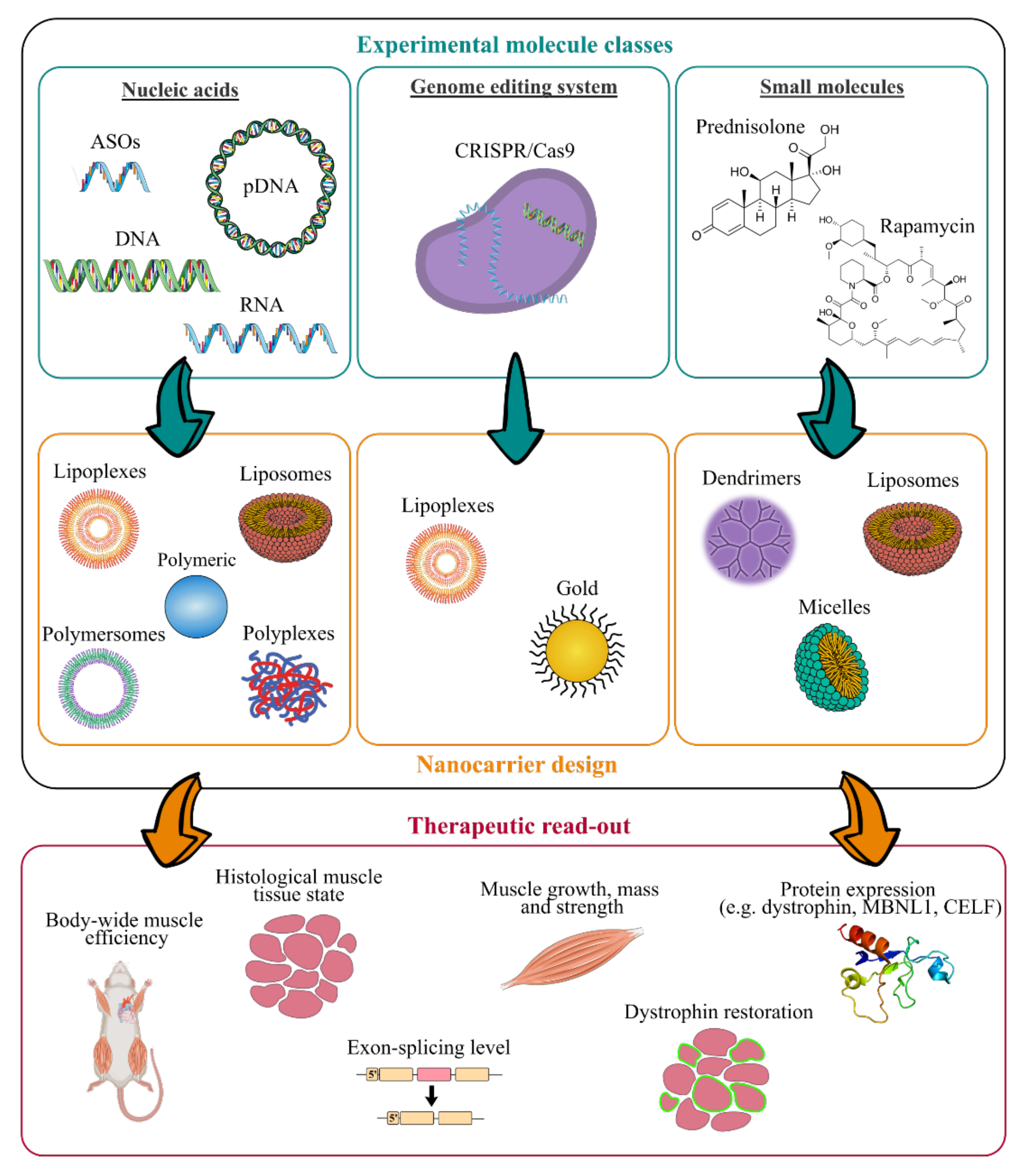Pharmaceutics 13 00278 g003