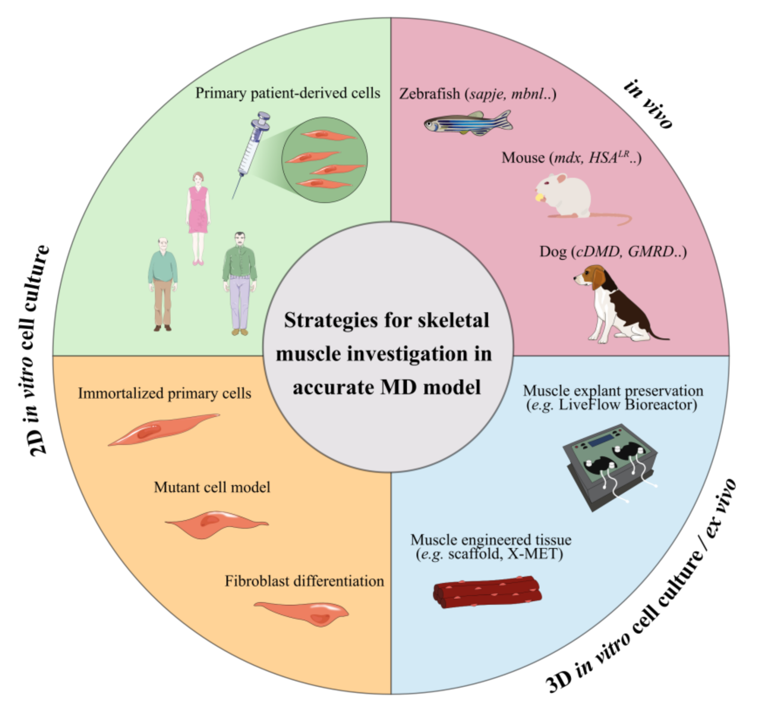 Pharmaceutics 13 00278 g004