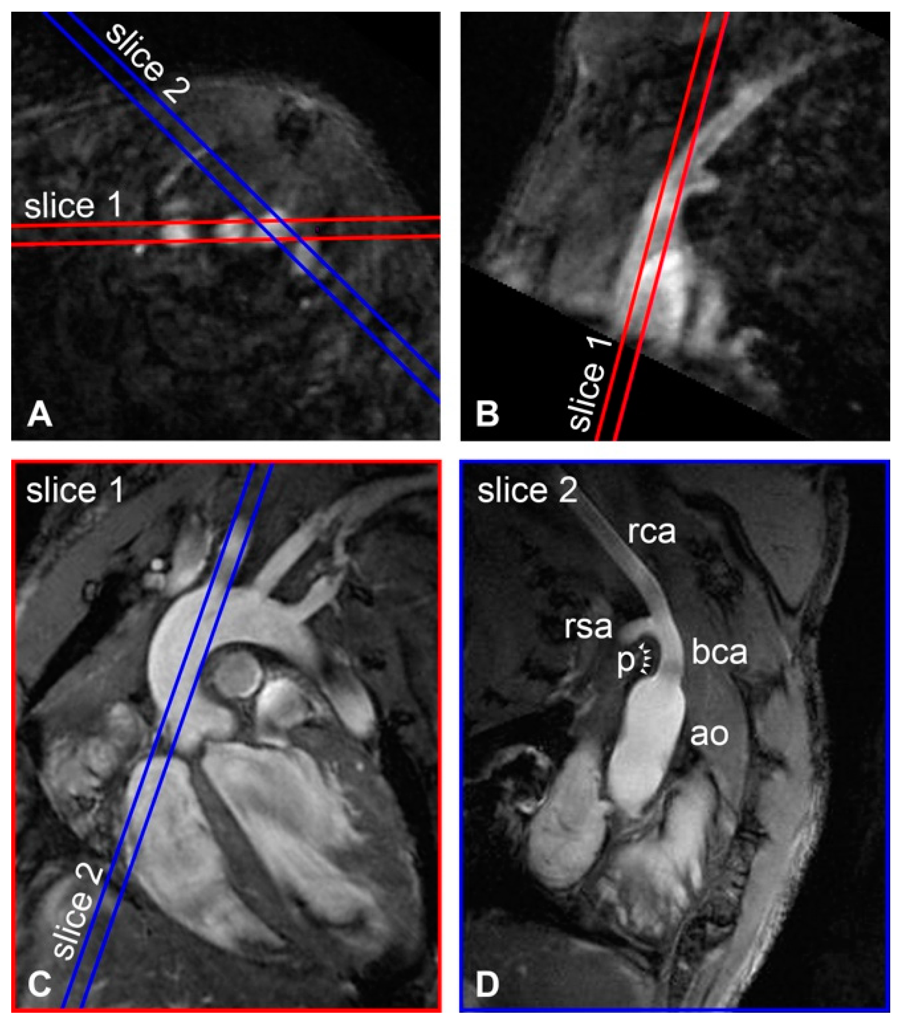 Pharmaceutics 13 00279 g001