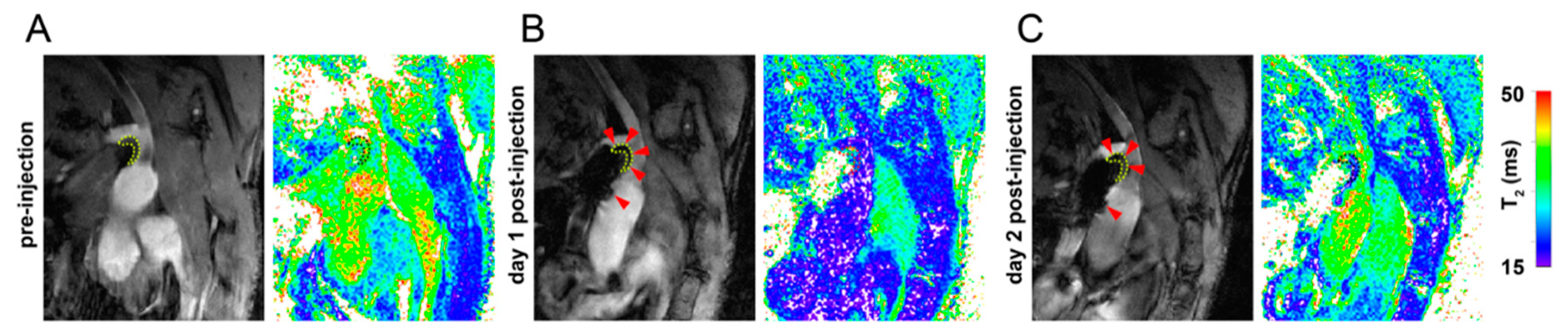 Pharmaceutics 13 00279 g003