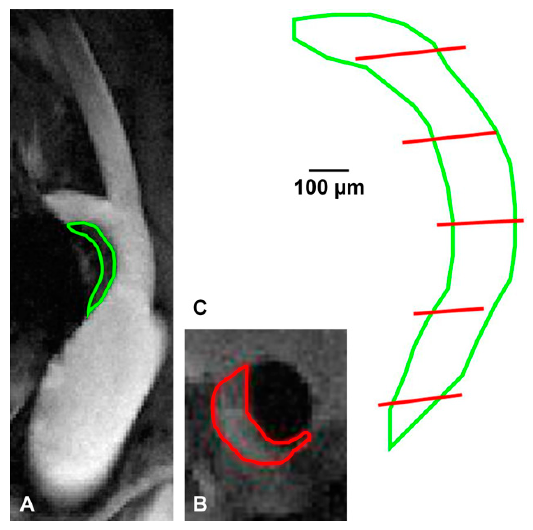 Pharmaceutics 13 00279 g004